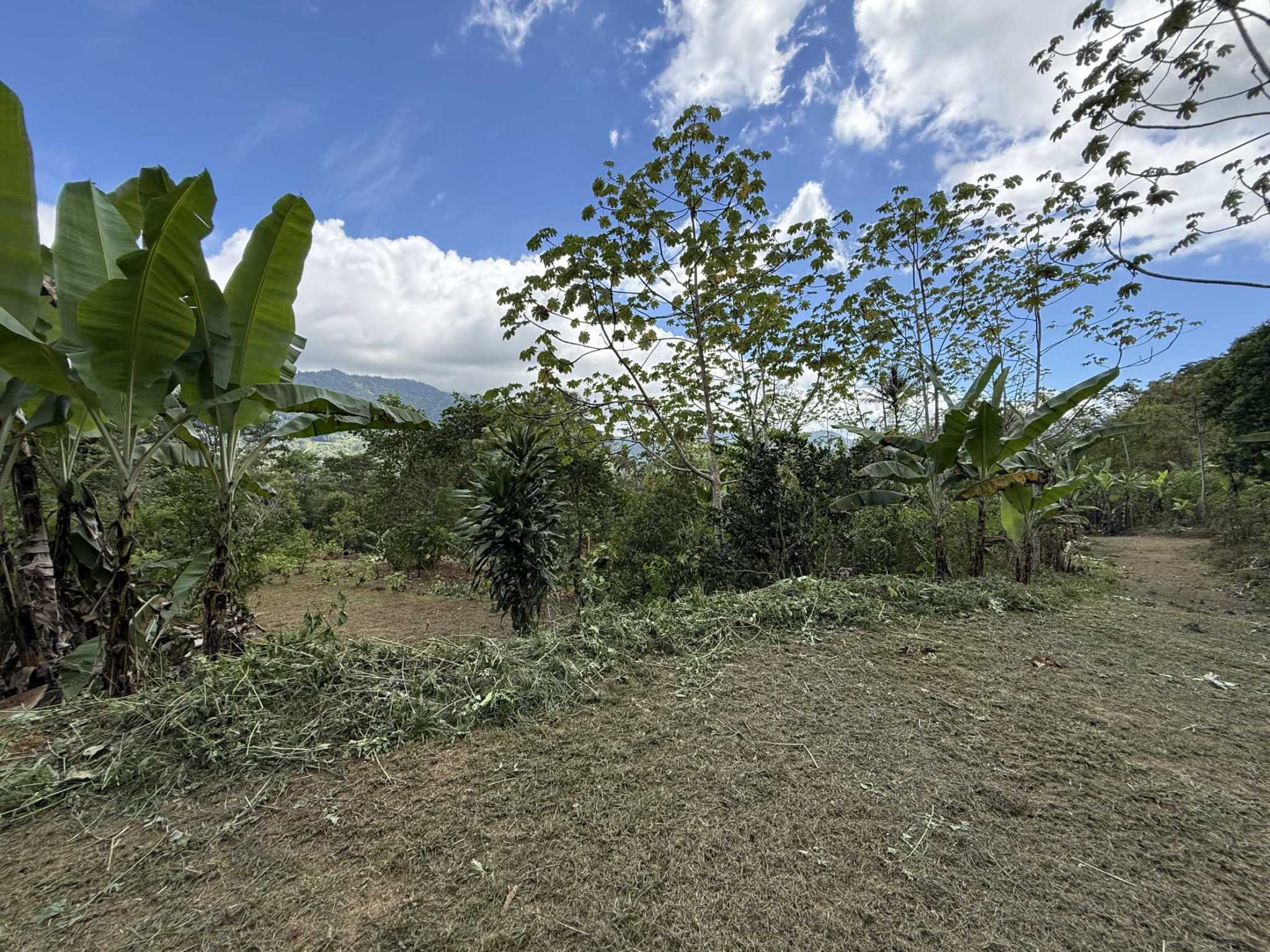 52669 (22) Jungle Lot with 3+ Building Sites, Legal Water, Electricity on Public Road with Big Valley & Mountain Views near San Josecito Costa Rica