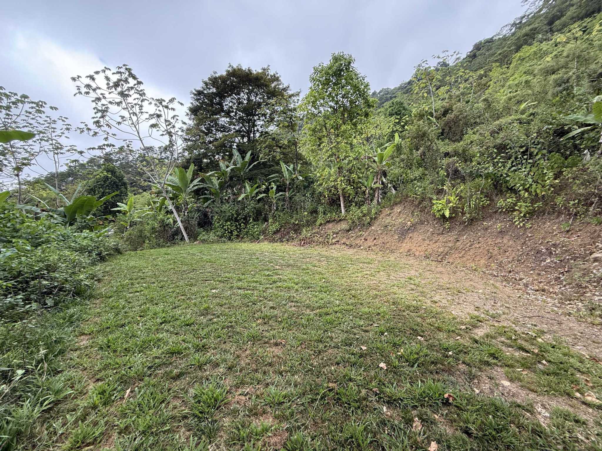 52669 (23) Jungle Lot with 3+ Building Sites, Legal Water, Electricity on Public Road with Big Valley & Mountain Views near San Josecito Costa Rica