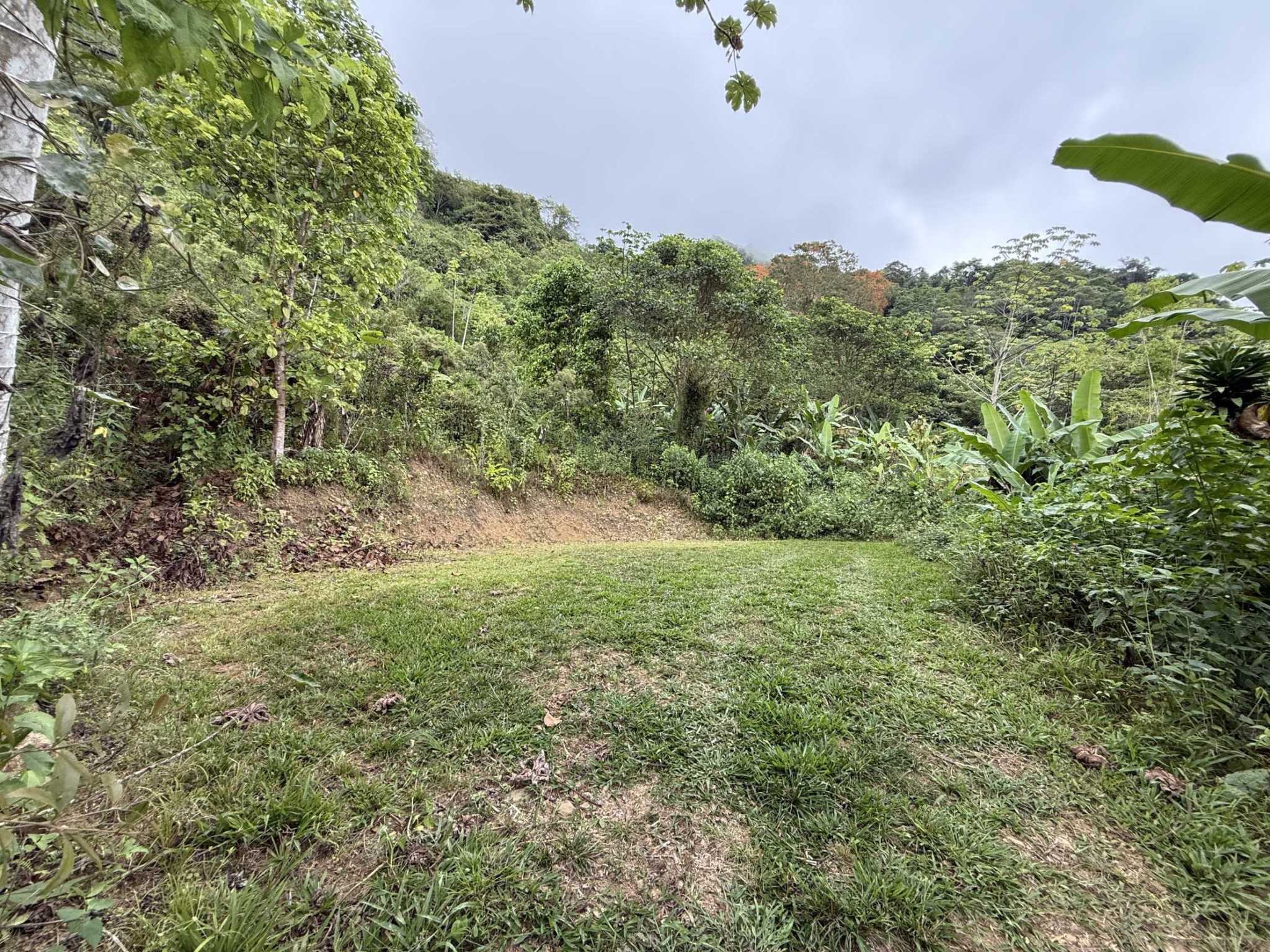 52669 (24) Jungle Lot with 3+ Building Sites, Legal Water, Electricity on Public Road with Big Valley & Mountain Views near San Josecito Costa Rica