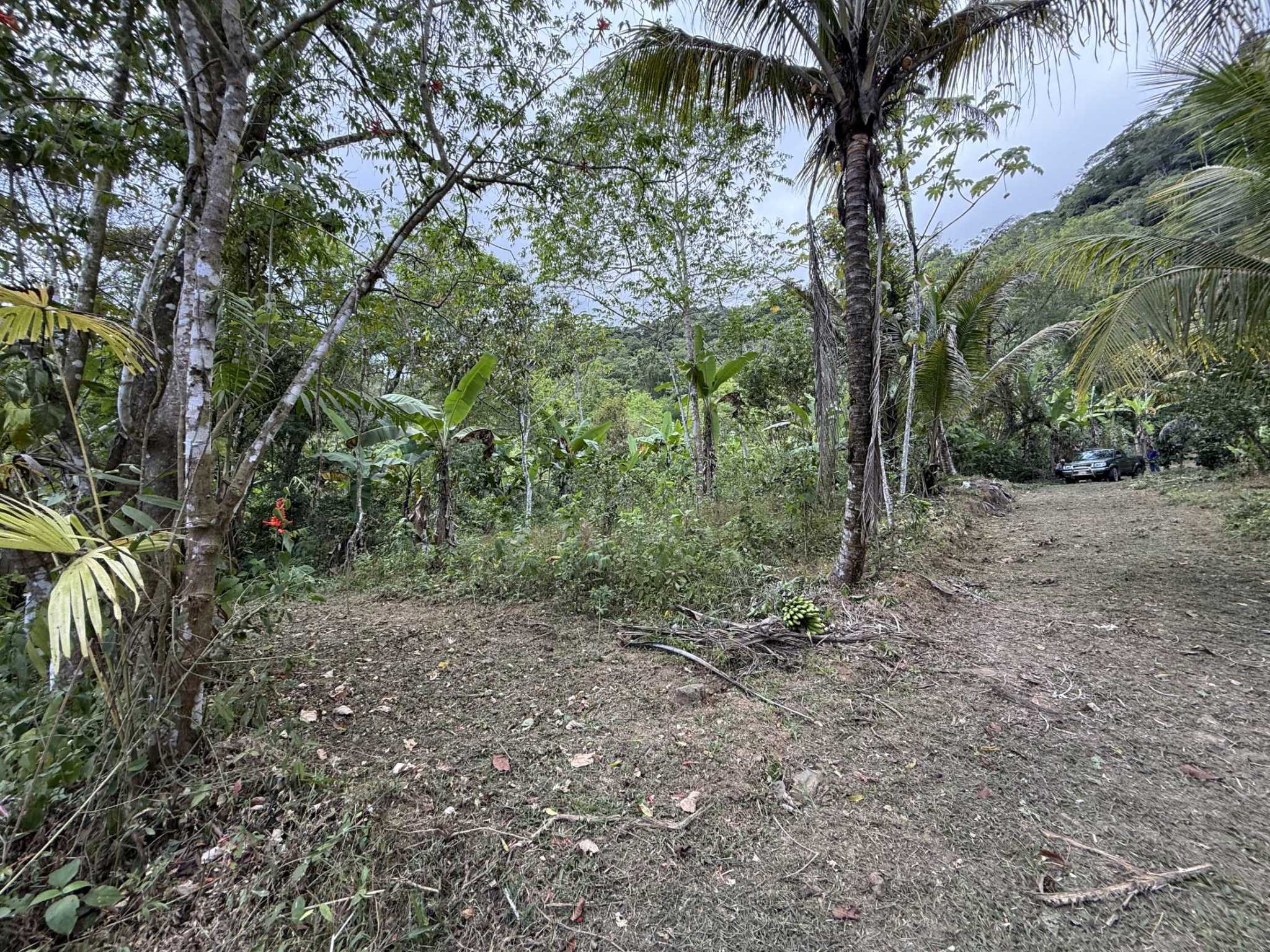 52669 (1) Jungle Lot with 3+ Building Sites, Legal Water, Electricity on Public Road with Big Valley & Mountain Views near San Josecito Costa Rica