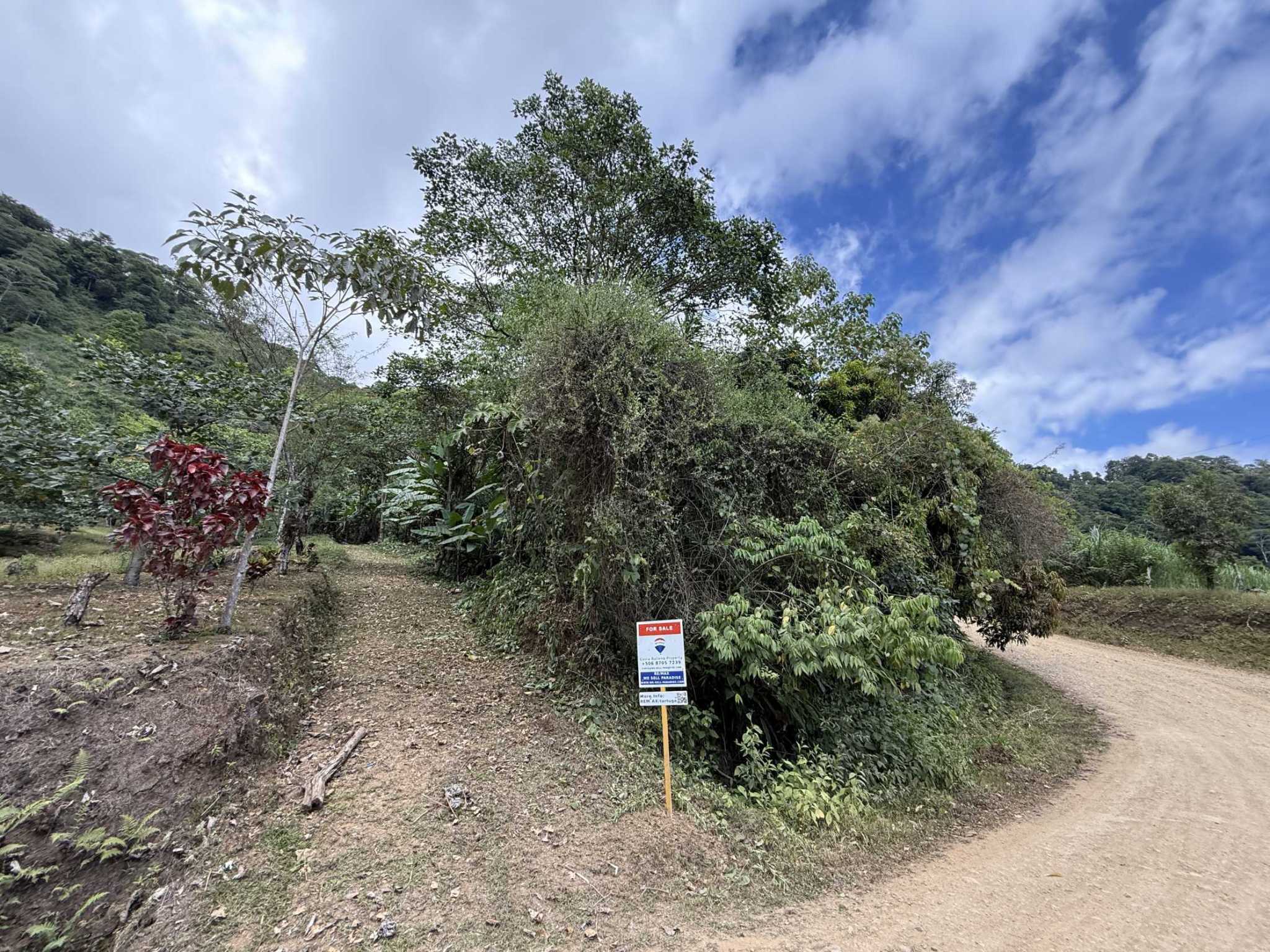 52673 (8) Jungle Lot with 2+ Building Sites, Legal Water, Electricity on Public Road with Big Valley & Mountain Views near San Josecito Costa Rica