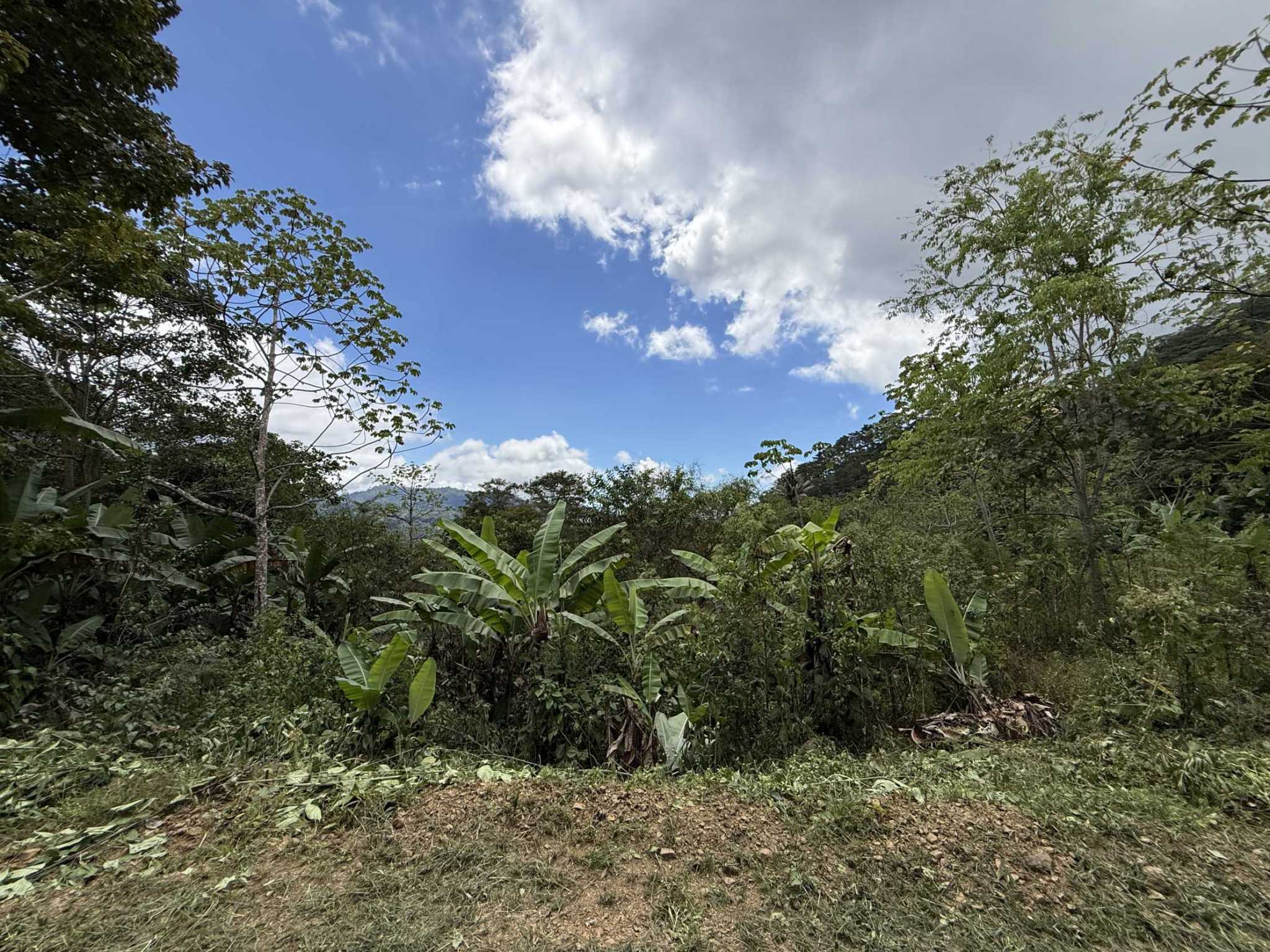52673 (1) Jungle Lot with 2+ Building Sites, Legal Water, Electricity on Public Road with Big Valley & Mountain Views near San Josecito Costa Rica