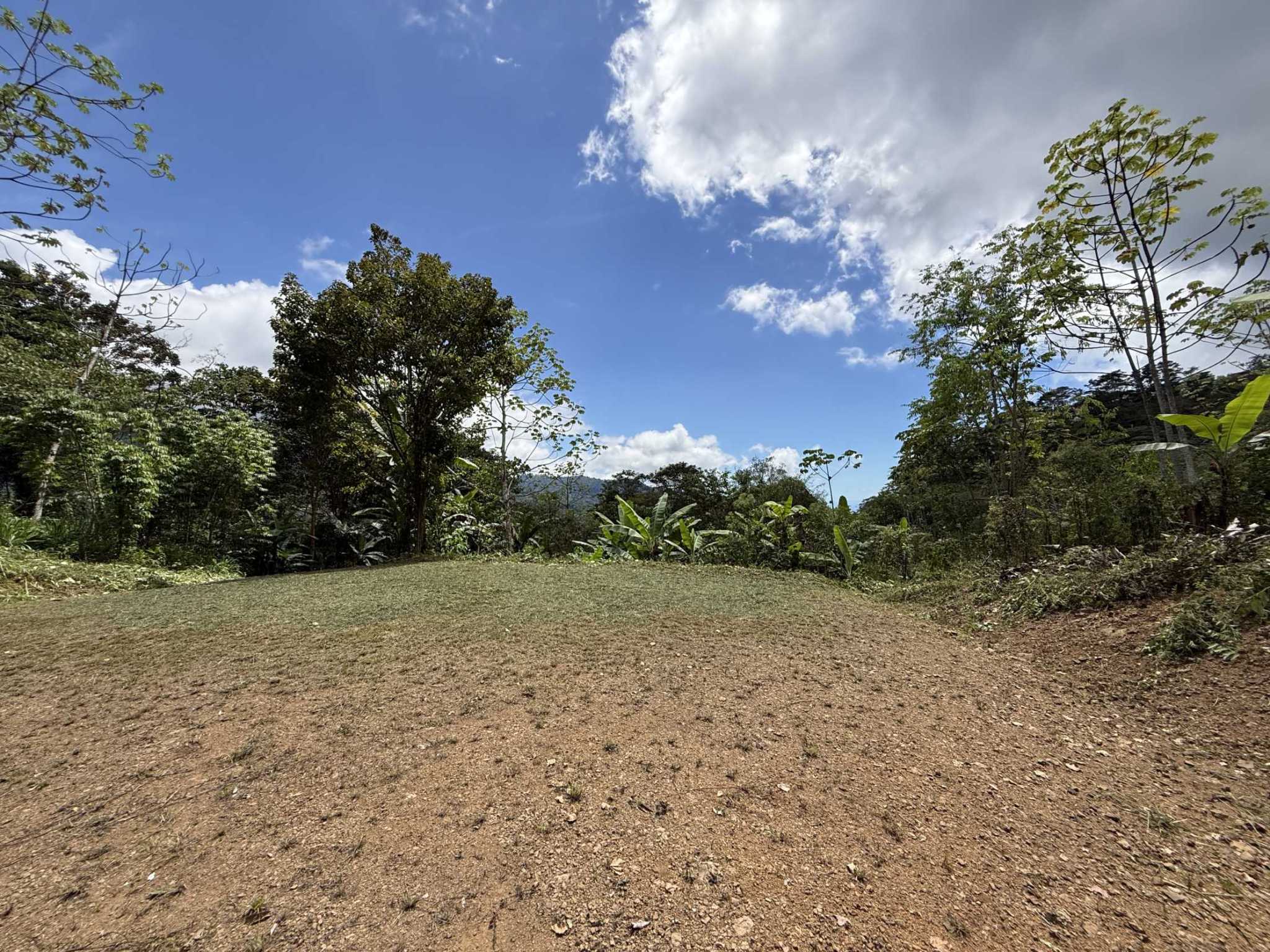 52673 (4) Jungle Lot with 2+ Building Sites, Legal Water, Electricity on Public Road with Big Valley & Mountain Views near San Josecito Costa Rica