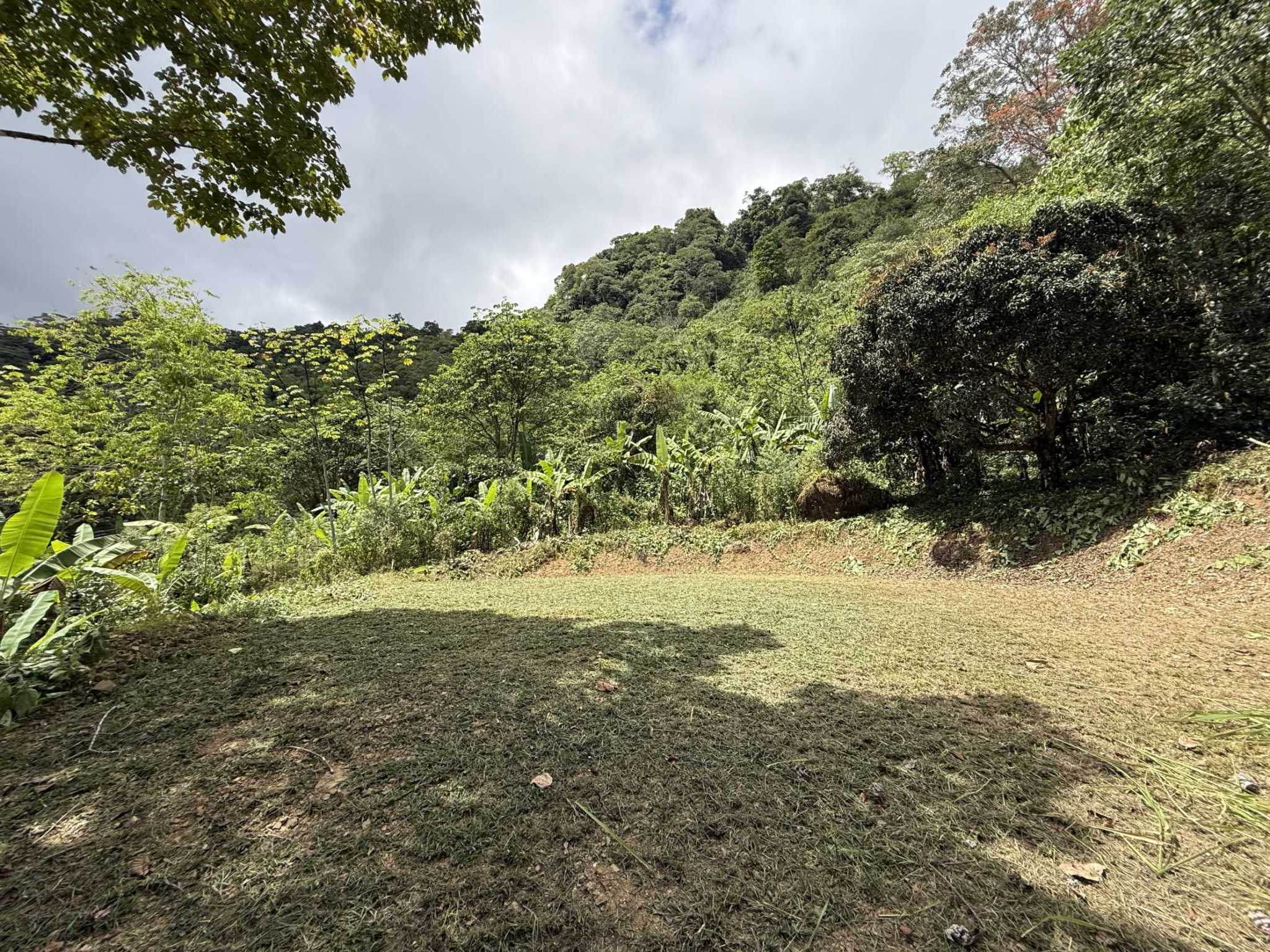 52673 (5) Jungle Lot with 2+ Building Sites, Legal Water, Electricity on Public Road with Big Valley & Mountain Views near San Josecito Costa Rica
