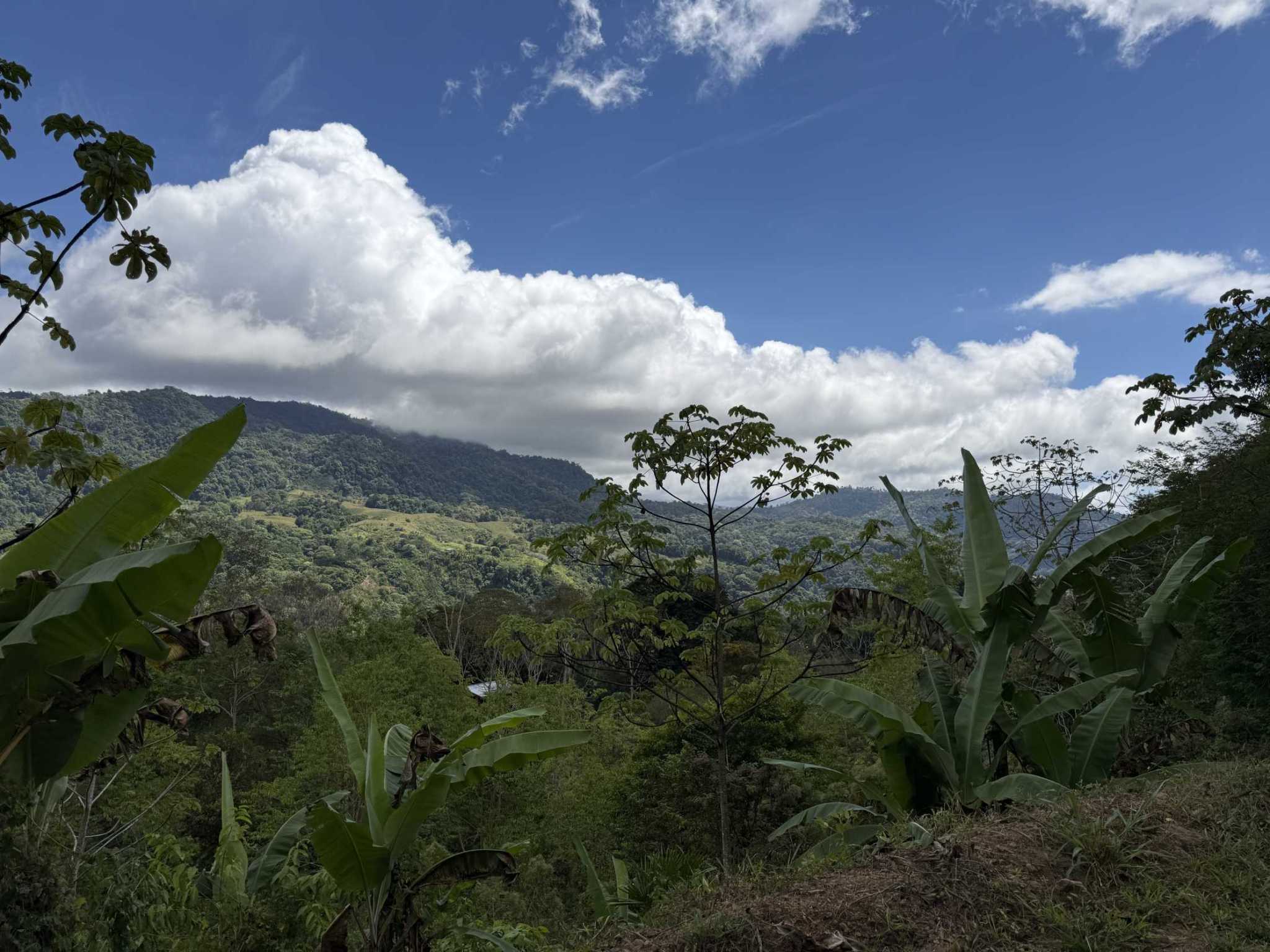 52669 (7) Jungle Lot with 3+ Building Sites, Legal Water, Electricity on Public Road with Big Valley & Mountain Views near San Josecito Costa Rica