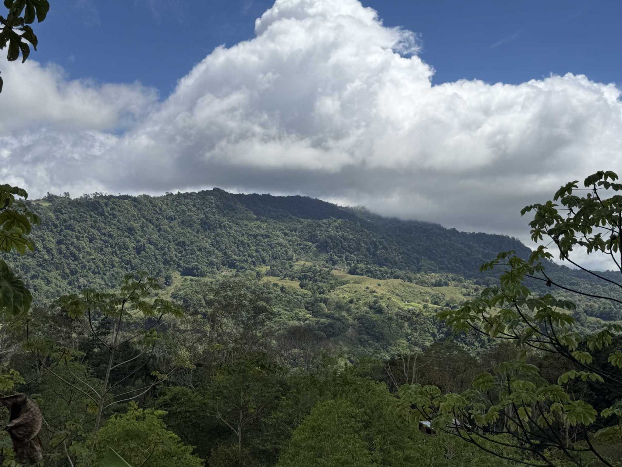 52677 (3) Jungle Lot with Multiple Building Sites, Legal Water, Electricity on Public Road with Big Valley & Mountain Views near San Josecito Costa Rica