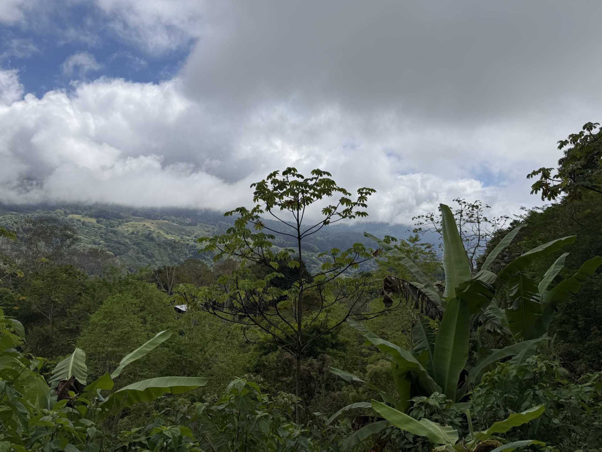 52677 (4) Jungle Lot with Multiple Building Sites, Legal Water, Electricity on Public Road with Big Valley & Mountain Views near San Josecito Costa Rica