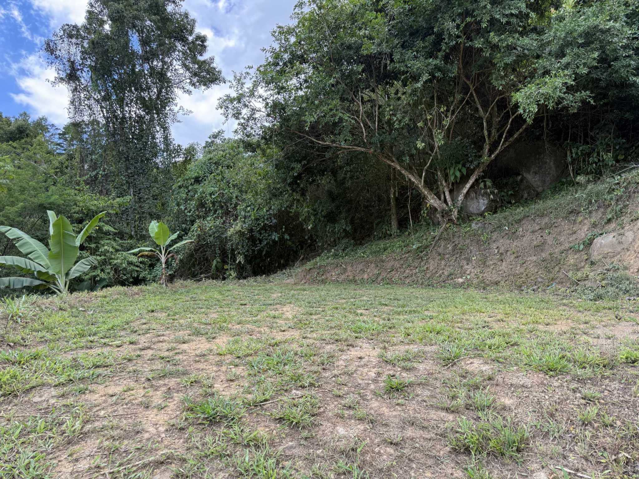 52669 (9) Jungle Lot with 3+ Building Sites, Legal Water, Electricity on Public Road with Big Valley & Mountain Views near San Josecito Costa Rica