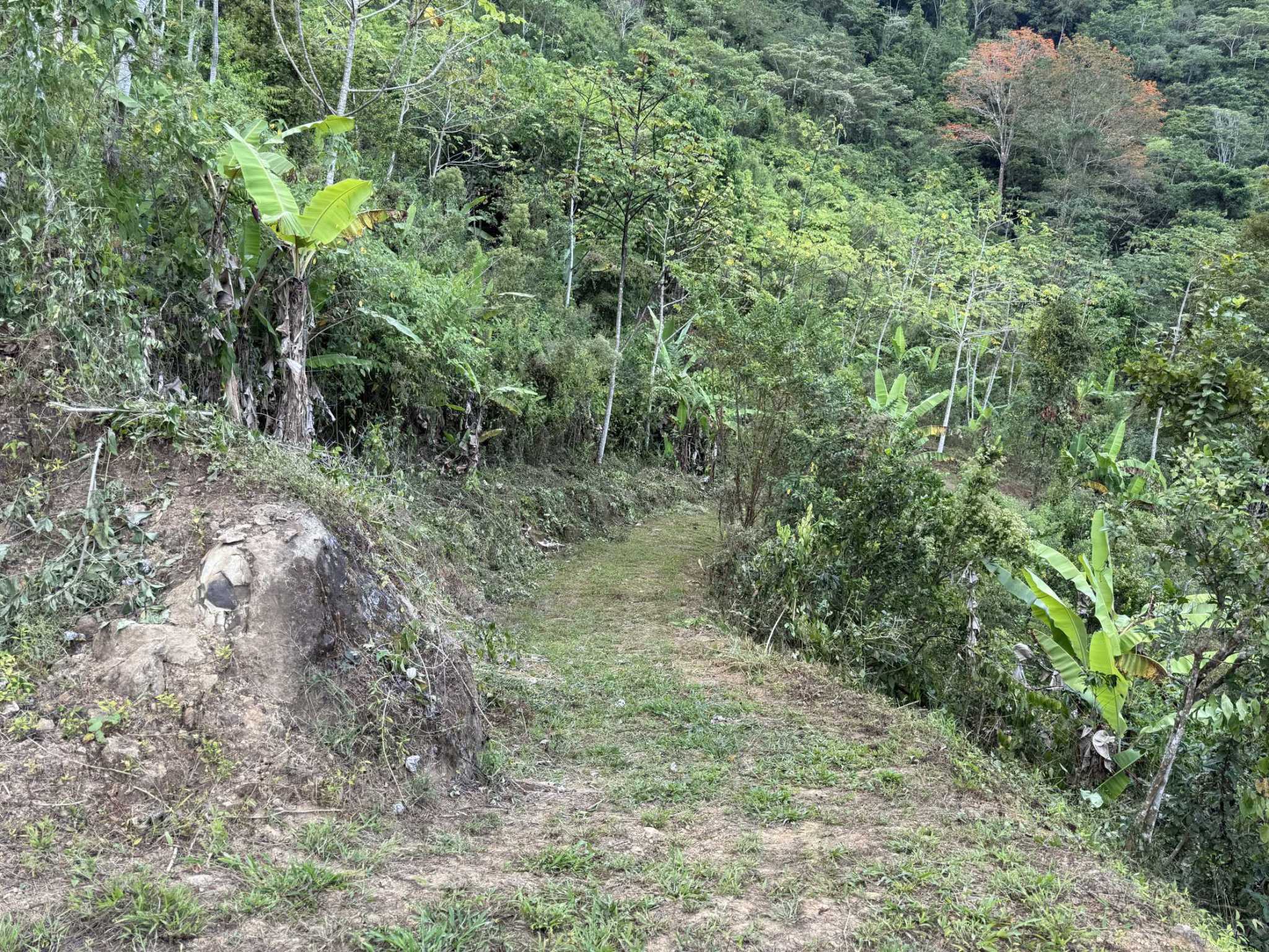 52669 (10) Jungle Lot with 3+ Building Sites, Legal Water, Electricity on Public Road with Big Valley & Mountain Views near San Josecito Costa Rica