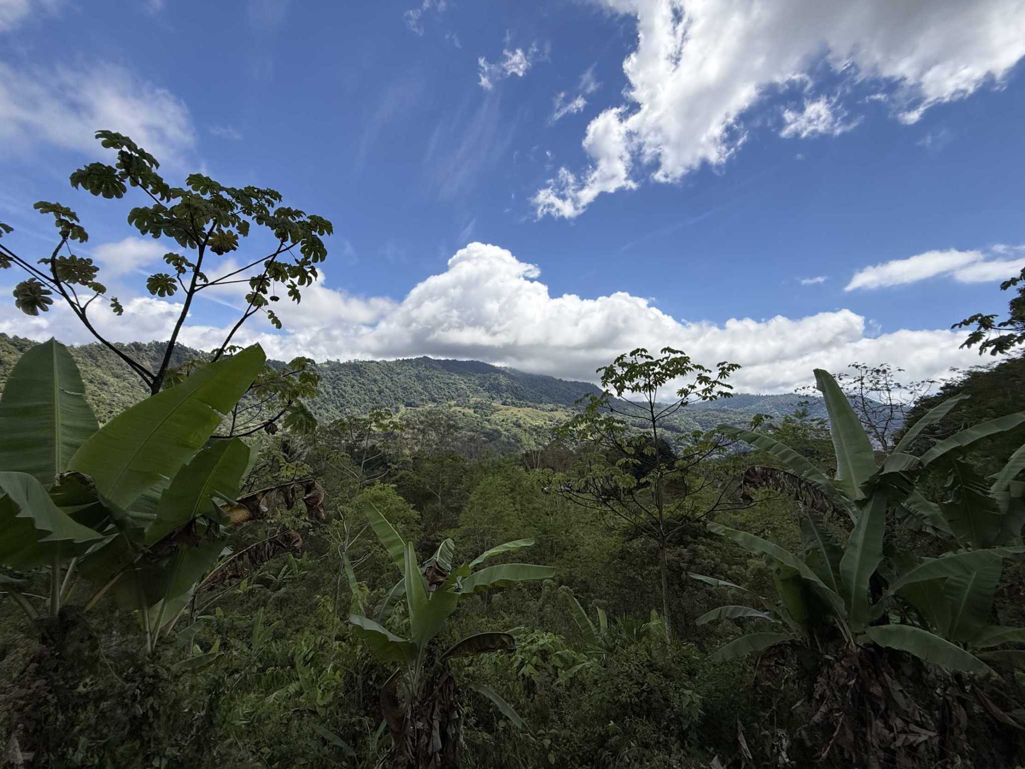 52669 (12) Jungle Lot with 3+ Building Sites, Legal Water, Electricity on Public Road with Big Valley & Mountain Views near San Josecito Costa Rica