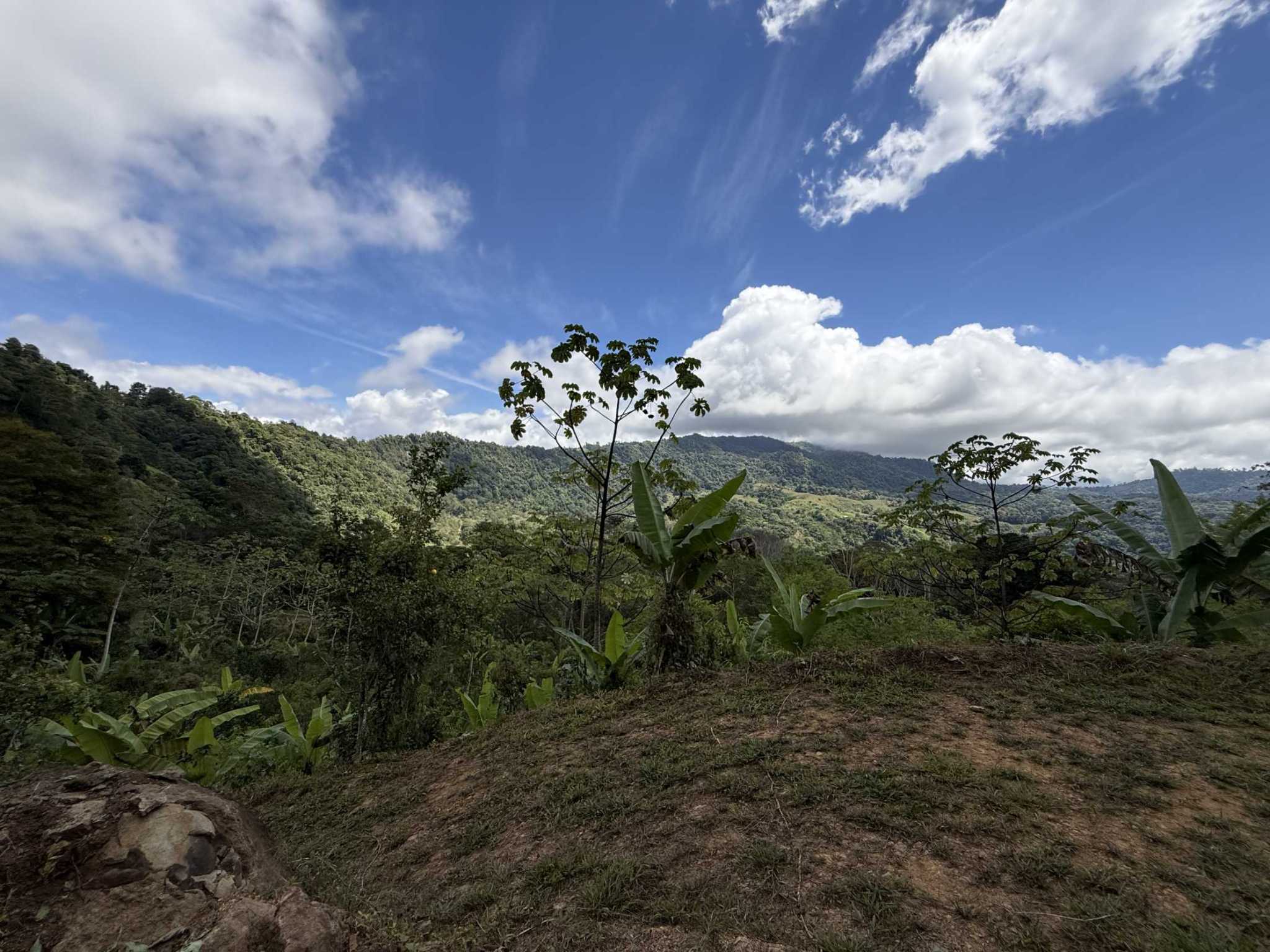52669 (14) Jungle Lot with 3+ Building Sites, Legal Water, Electricity on Public Road with Big Valley & Mountain Views near San Josecito Costa Rica