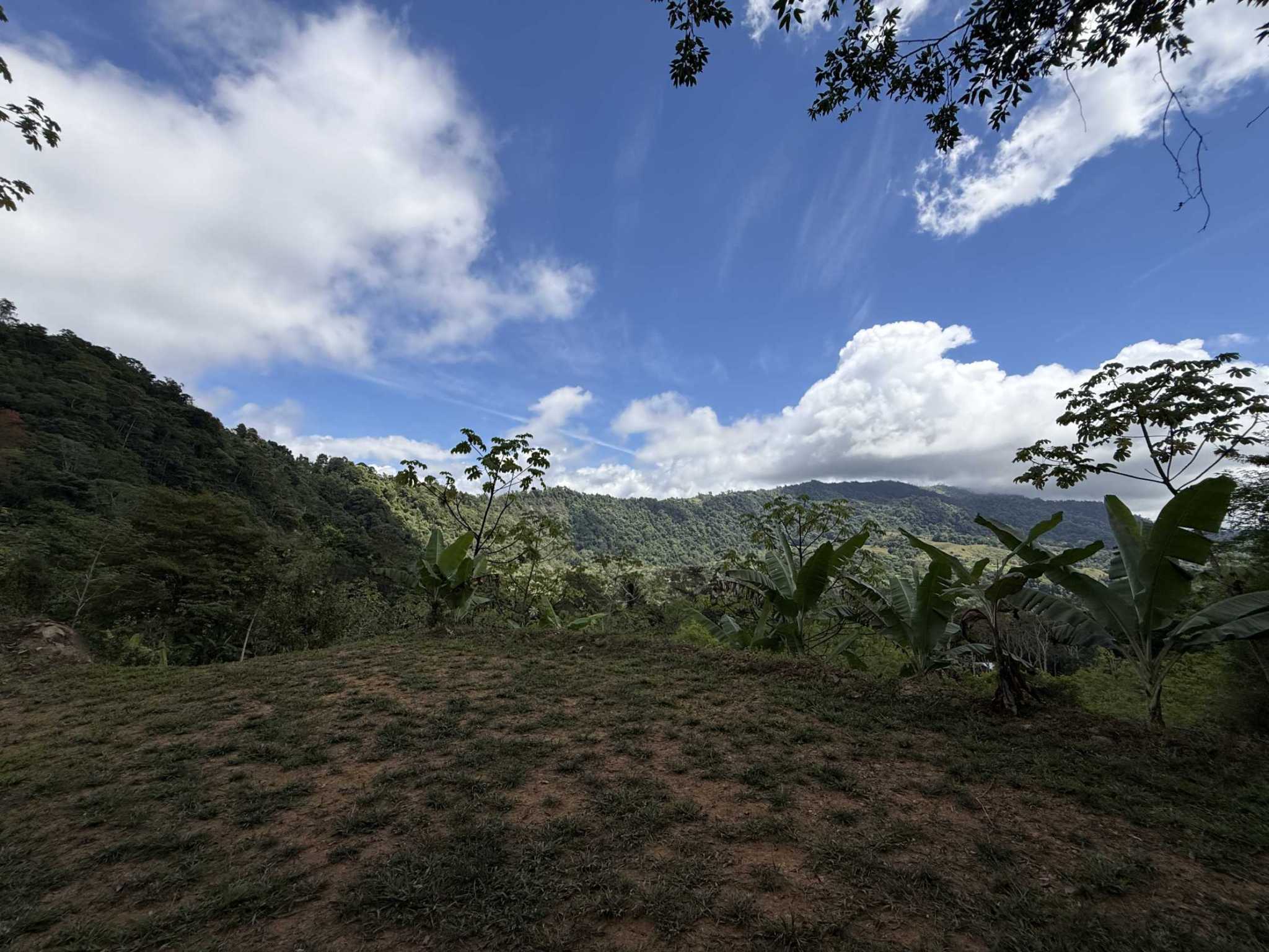 52669 (15) Jungle Lot with 3+ Building Sites, Legal Water, Electricity on Public Road with Big Valley & Mountain Views near San Josecito Costa Rica