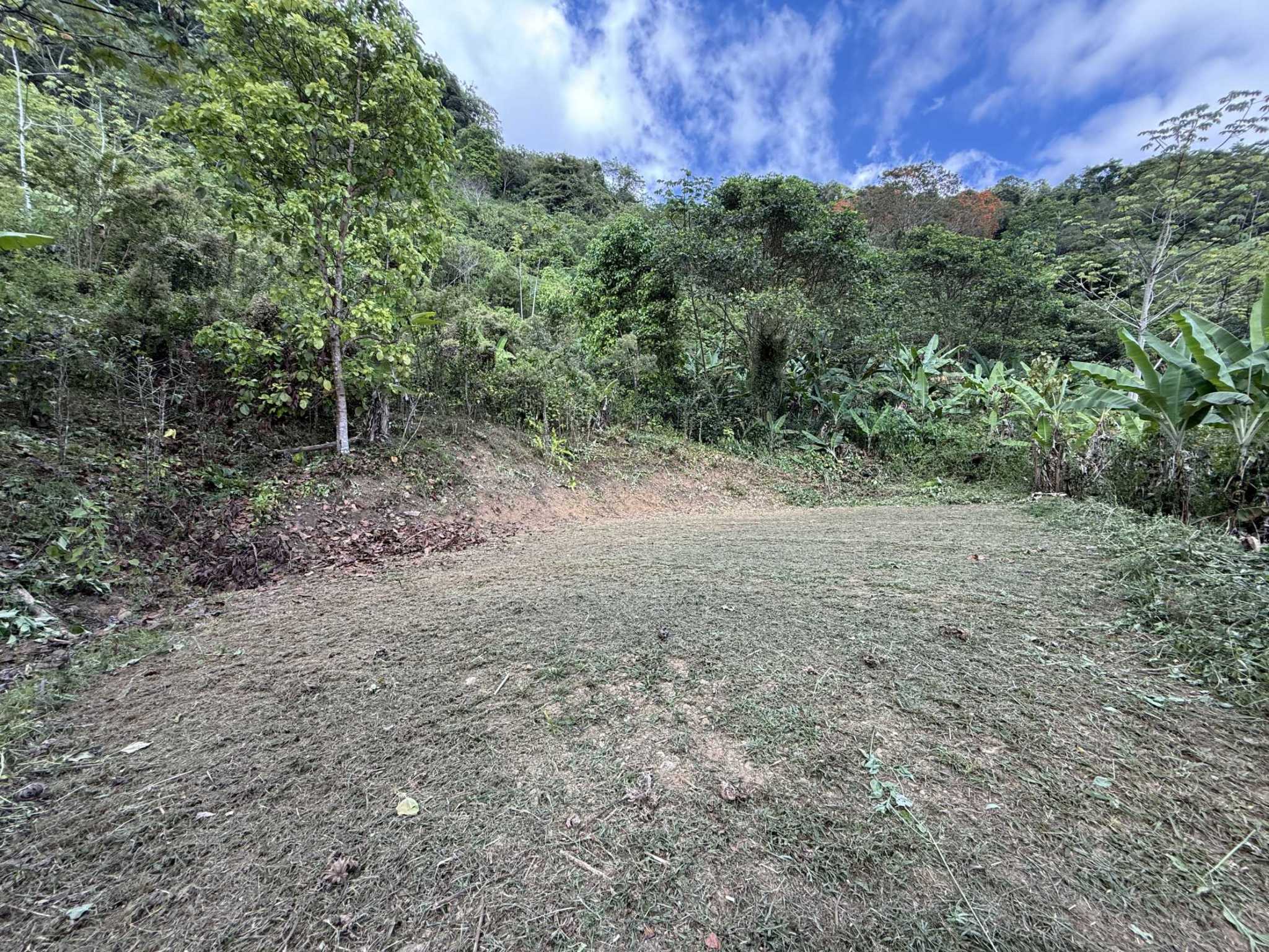 52669 (18) Jungle Lot with 3+ Building Sites, Legal Water, Electricity on Public Road with Big Valley & Mountain Views near San Josecito Costa Rica