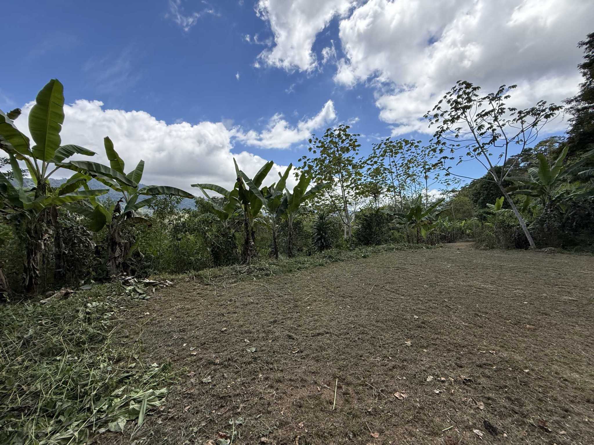 52669 (20) Jungle Lot with 3+ Building Sites, Legal Water, Electricity on Public Road with Big Valley & Mountain Views near San Josecito Costa Rica