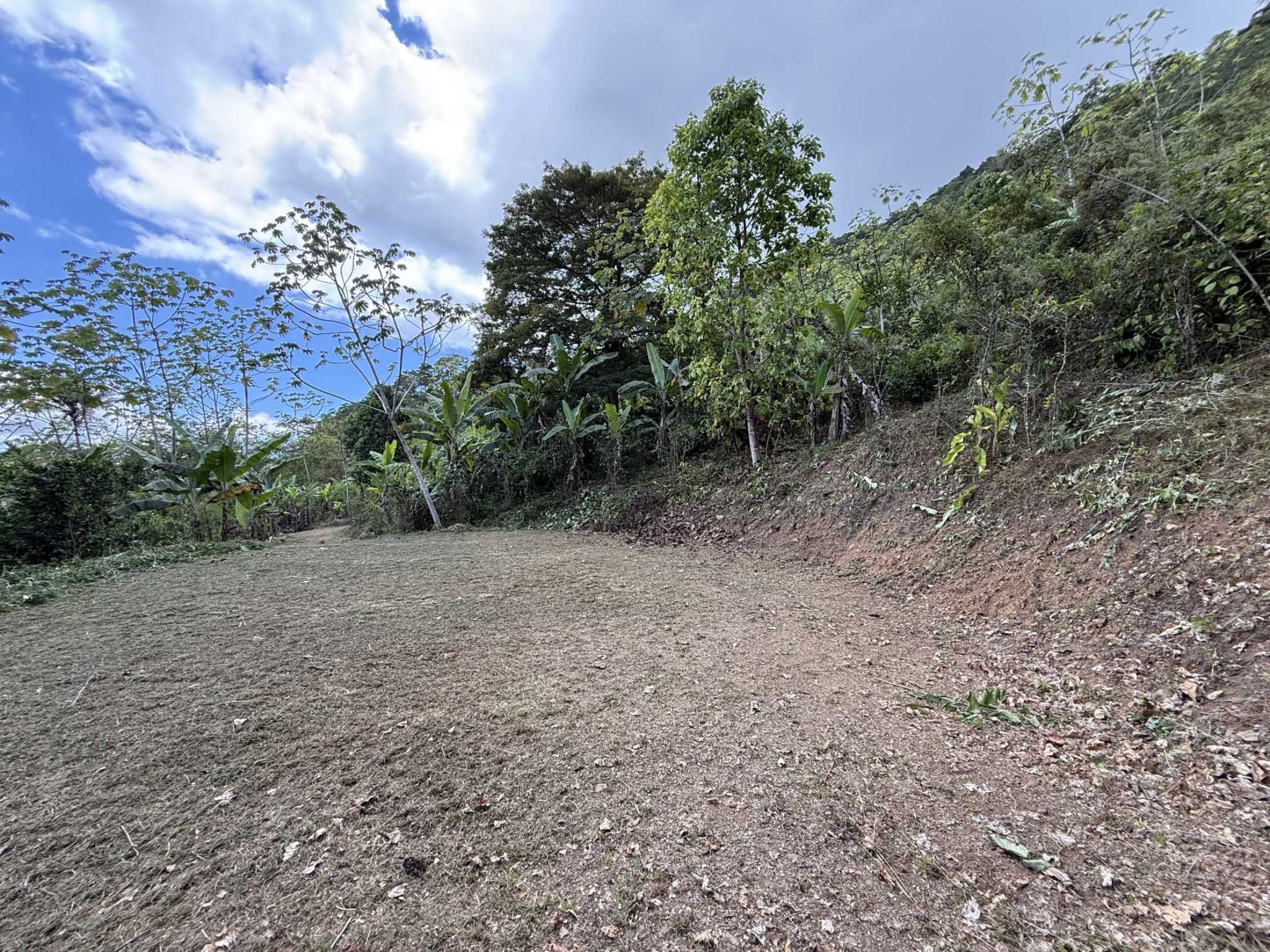 52669 (21) Jungle Lot with 3+ Building Sites, Legal Water, Electricity on Public Road with Big Valley & Mountain Views near San Josecito Costa Rica