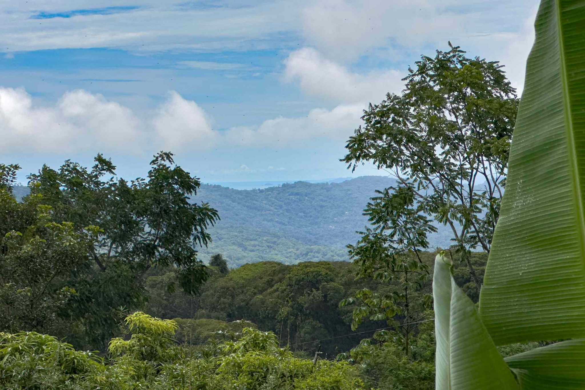 52928 (13) Eco Orchard with Creekside 2-Bedroom Home & Studio Casita in Tinamaste Costa Rica