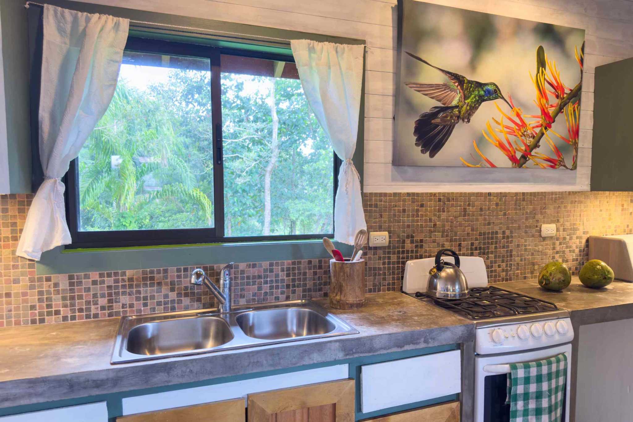 52928 (23) Eco Orchard with Creekside 2-Bedroom Home & Studio Casita in Tinamaste Costa Rica