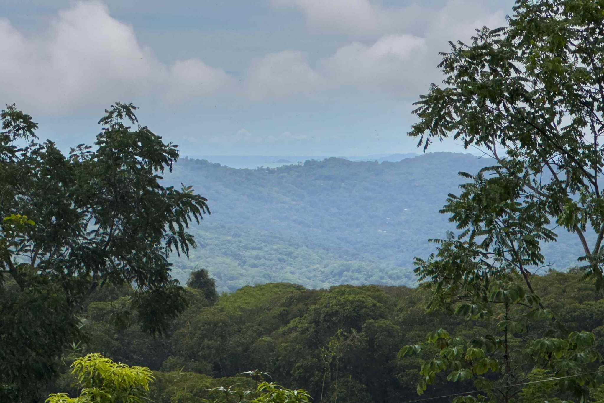 52928 (25) Eco Orchard with Creekside 2-Bedroom Home & Studio Casita in Tinamaste Costa Rica