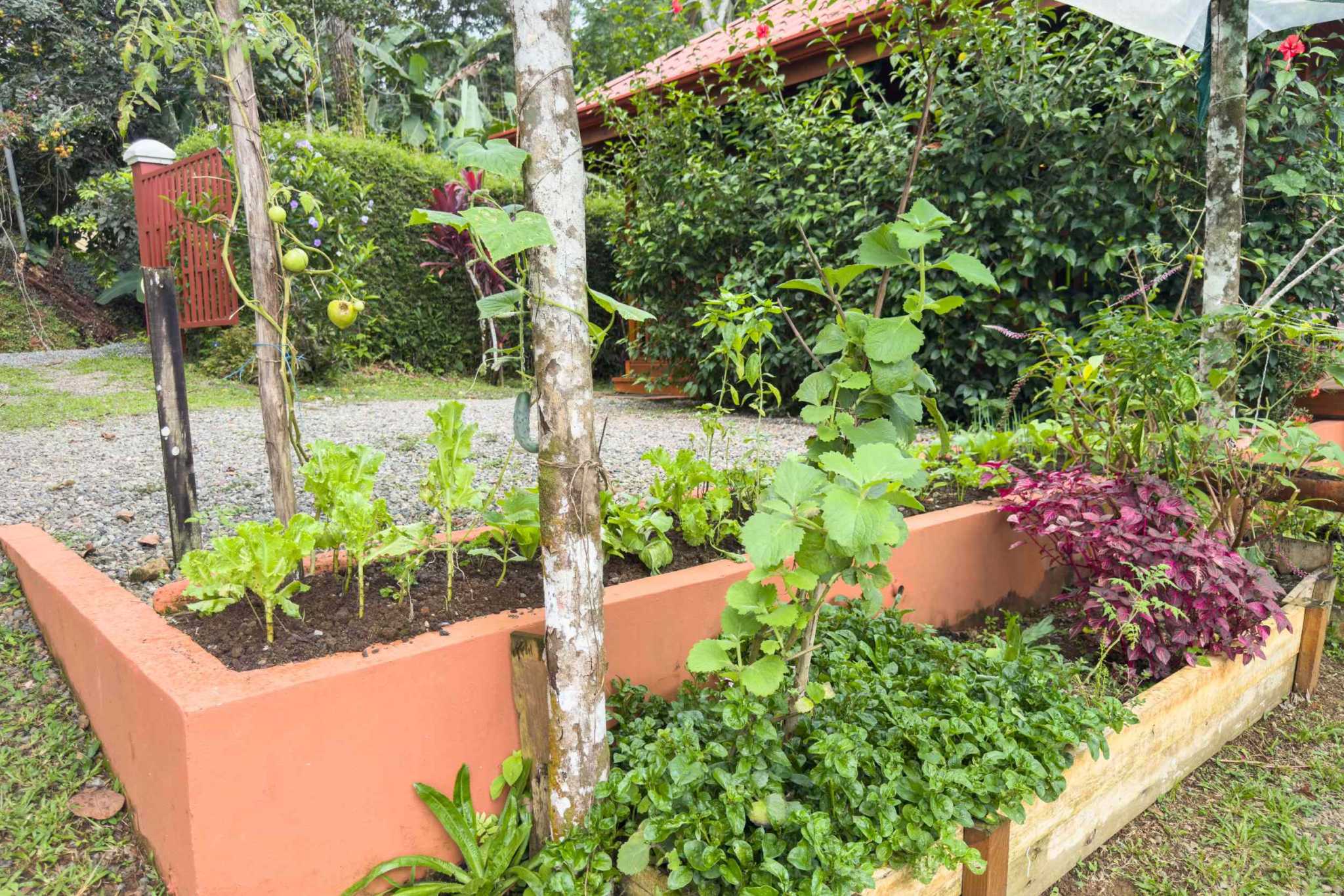 52928 (32) Eco Orchard with Creekside 2-Bedroom Home & Studio Casita in Tinamaste Costa Rica