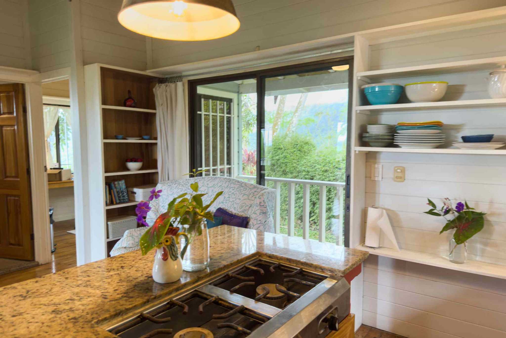 52928 (37) Eco Orchard with Creekside 2-Bedroom Home & Studio Casita in Tinamaste Costa Rica