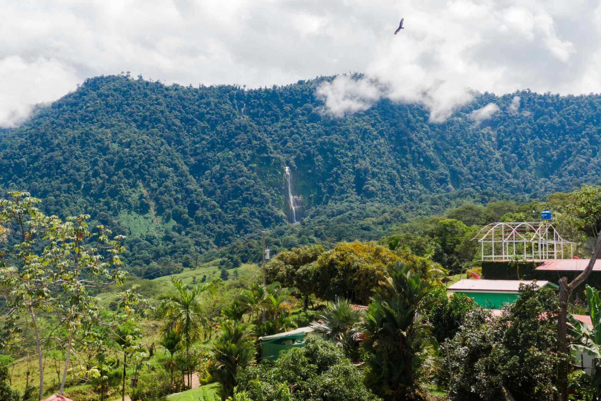 52928 (46) Eco Orchard with Creekside 2-Bedroom Home & Studio Casita in Tinamaste Costa Rica