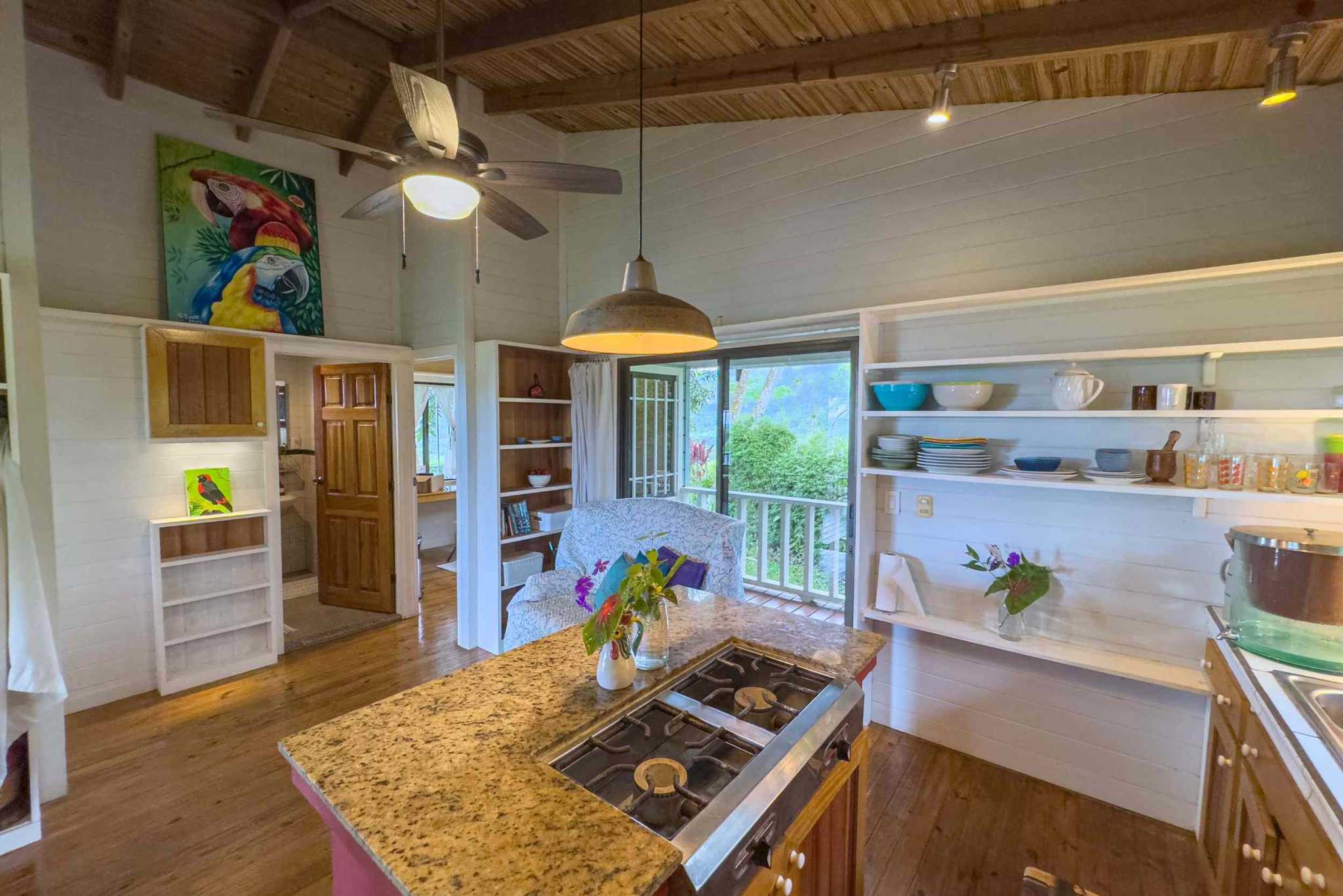 52928 (6) Eco Orchard with Creekside 2-Bedroom Home & Studio Casita in Tinamaste Costa Rica