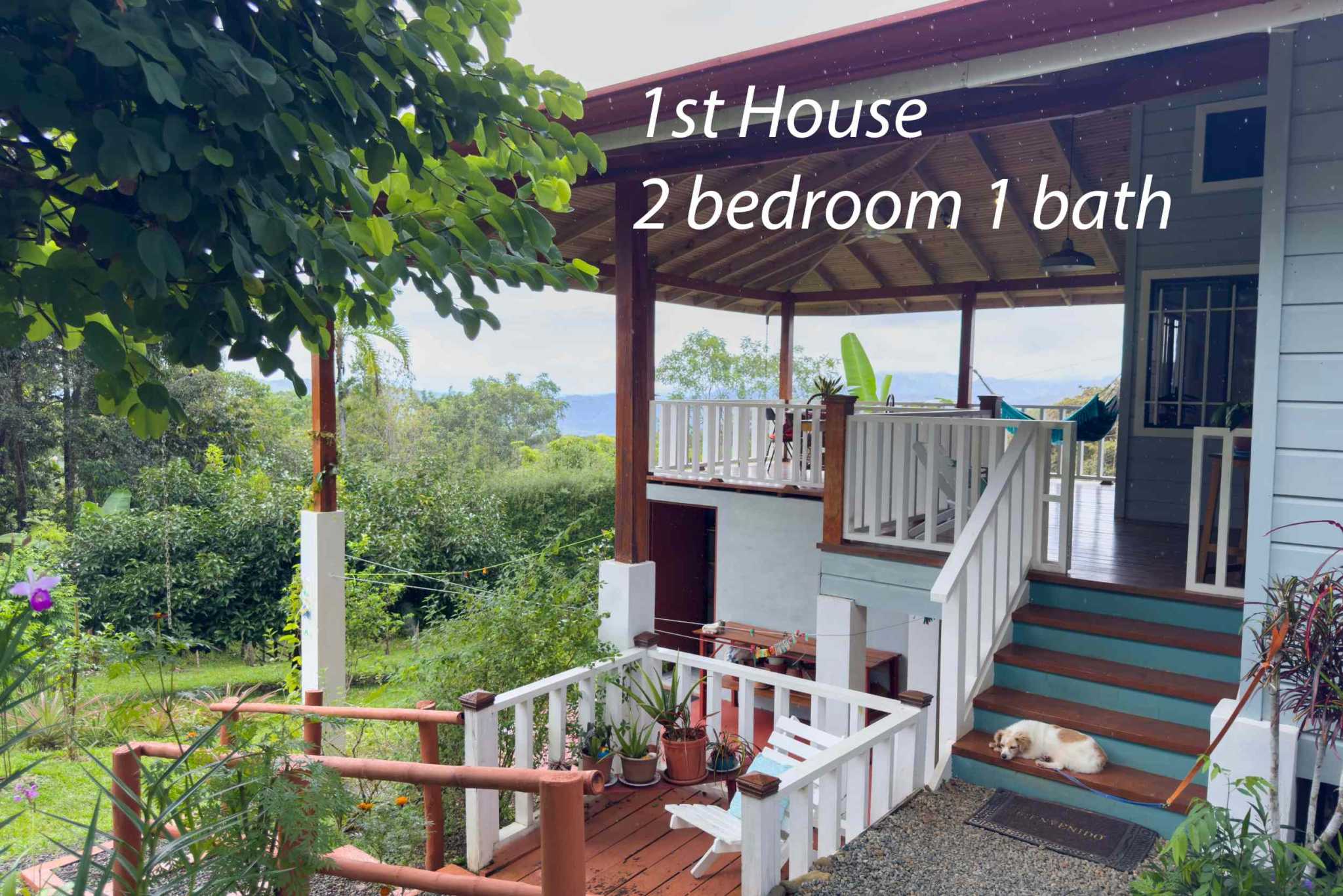 52928 (7) Eco Orchard with Creekside 2-Bedroom Home & Studio Casita in Tinamaste Costa Rica