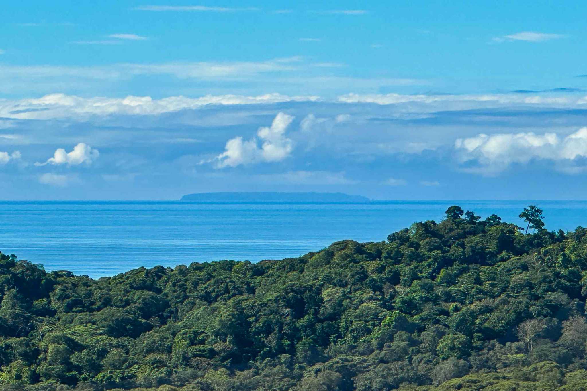 Luxury Retreat ocean view over forest canopy with distant island in Ojochal, Costa Rica