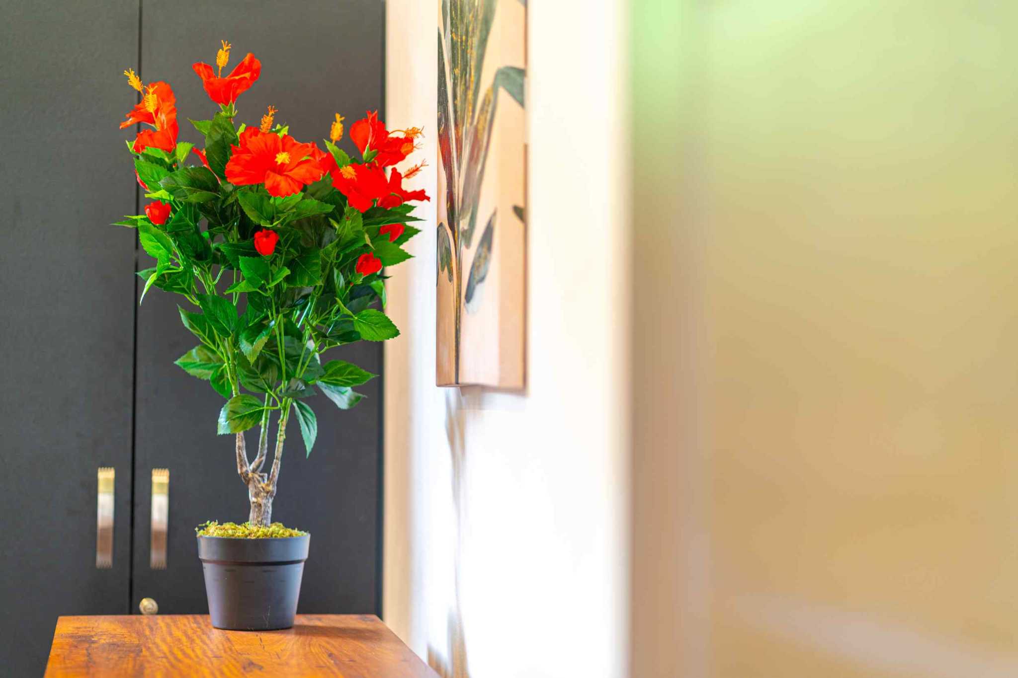 Brand New 3-Bedroom Modern Home with Pool & Jungle Views in Uvita, Costa Rica