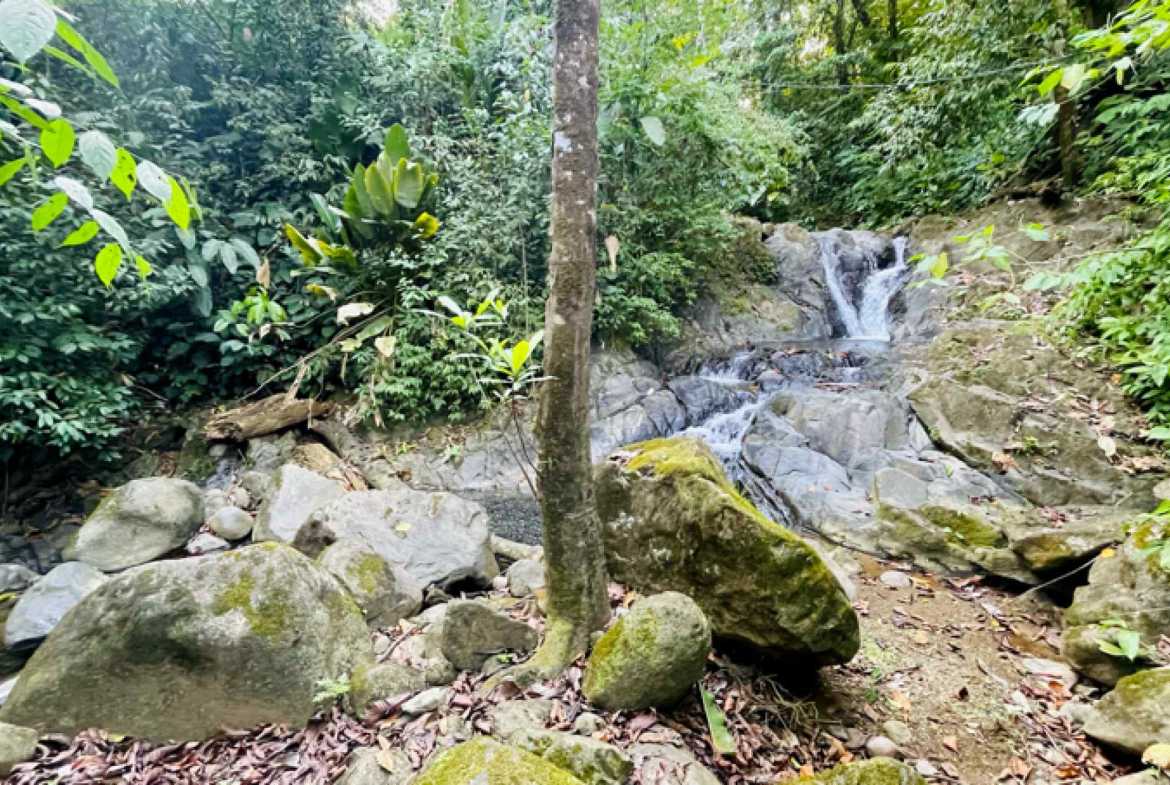 2-Bedroom Riverside Home with Waterfall Views & Jungle Setting, photo 5 of 24