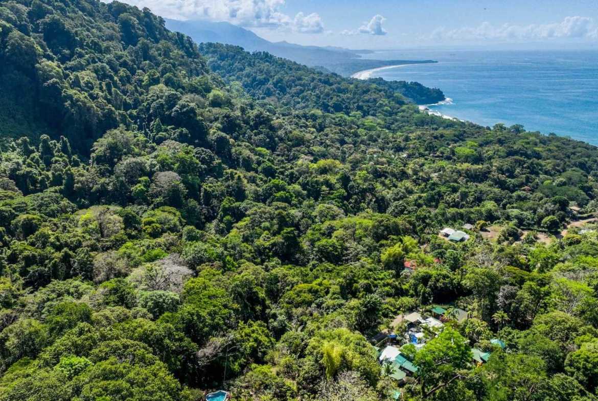 3-Bedroom Ocean View Estate with Pool & Extra Lot, photo 22 of 24