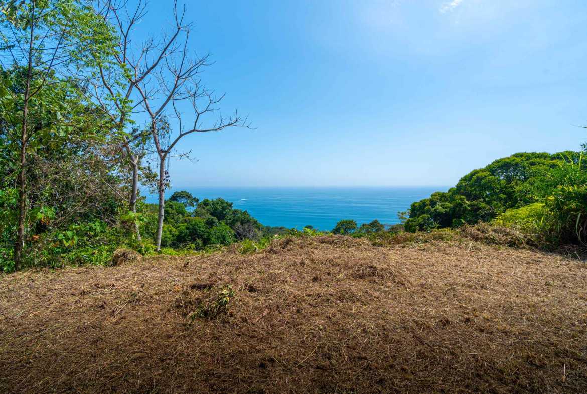 Extraordinary 4-Bedroom Estate with Ocean Views & Guest House in Escaleras Costa Rica photo 9