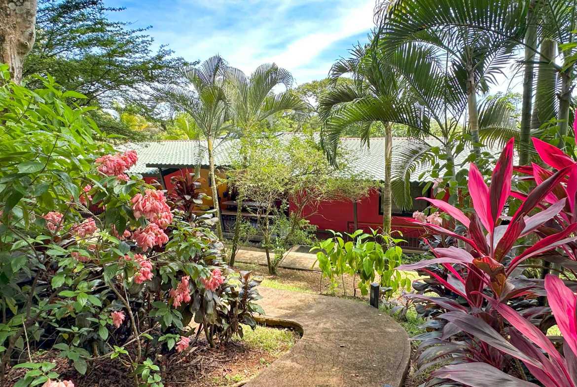 6-Bedroom Business Property with Restaurant, Cabins & Pool, photo 14 of 24