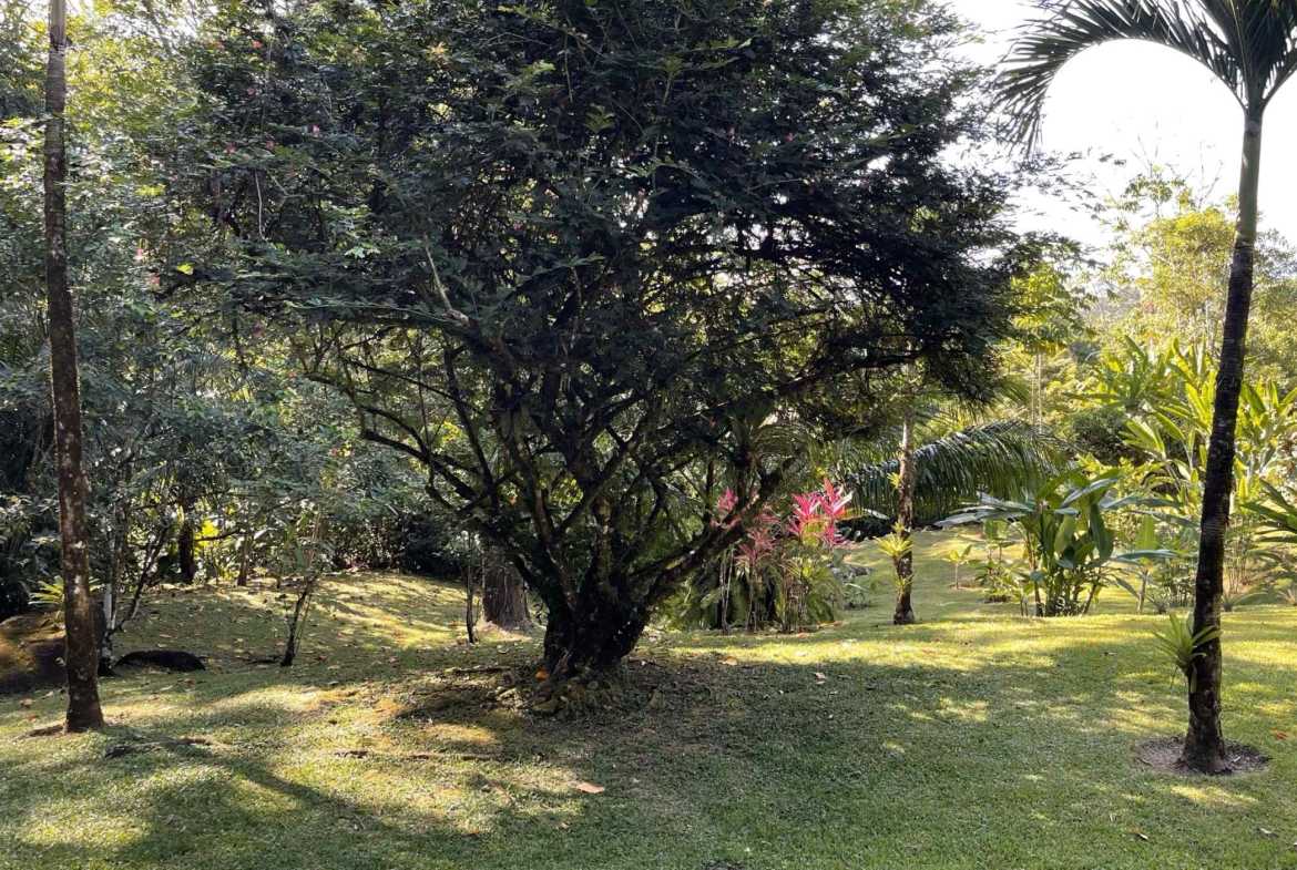 Secluded 3-Bedroom Home with Ocean Views & Creek in Ojochal Costa Rica photo 31
