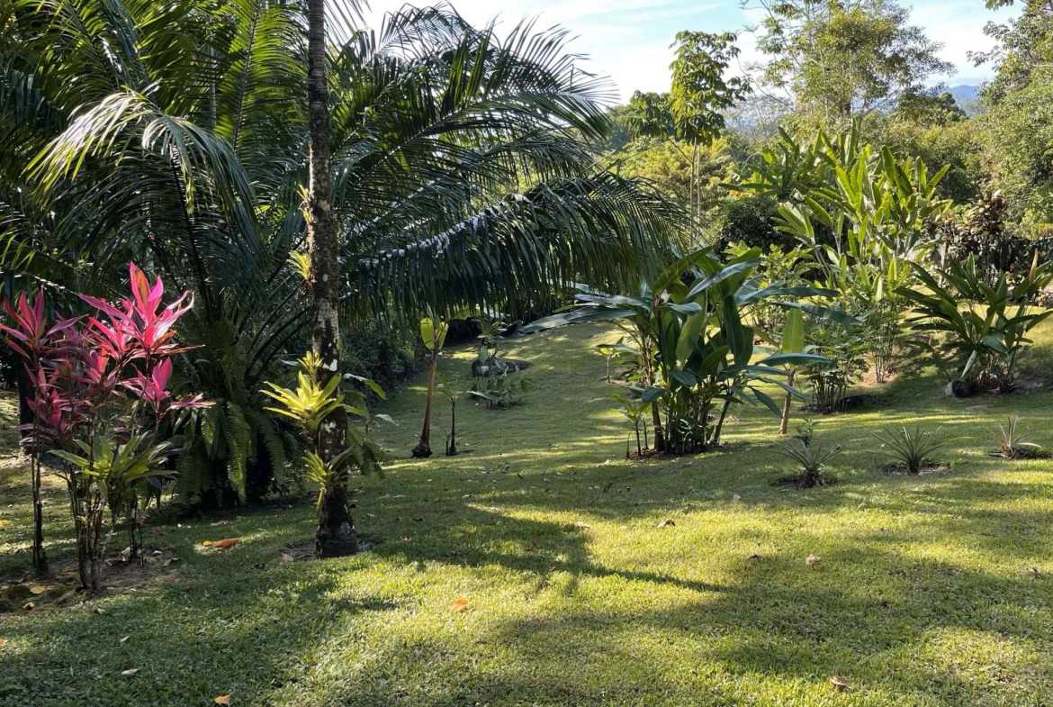 Secluded 3-Bedroom Home with Ocean Views & Creek in Ojochal Costa Rica photo 8