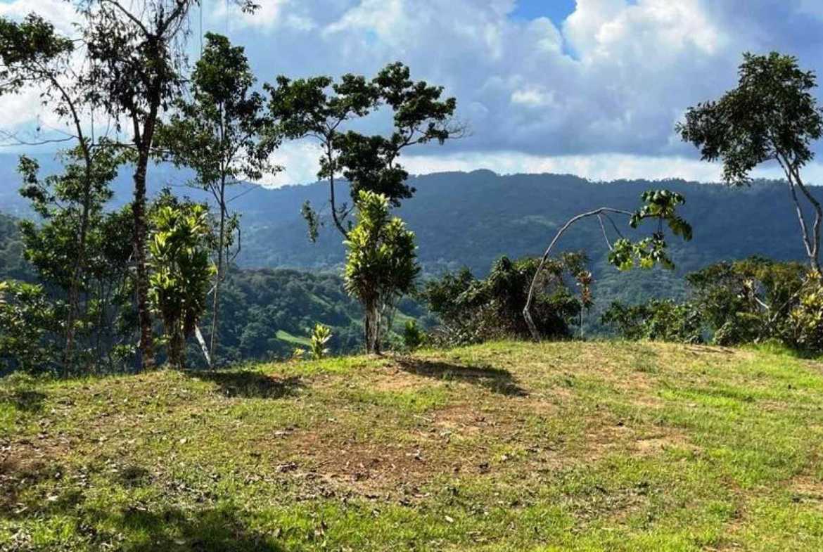 Ocean View 2.7-Acre Building Lot in Dominical Costa Rica photo 8