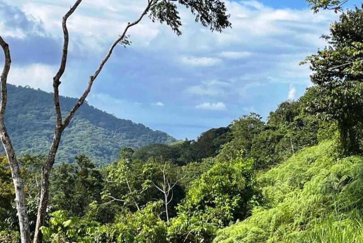 Ocean View 2.7-Acre Building Lot in Dominical Costa Rica photo 7