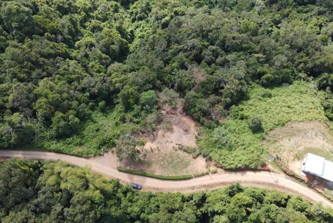 Ocean View 2.7-Acre Building Lot in Dominical Costa Rica photo 5