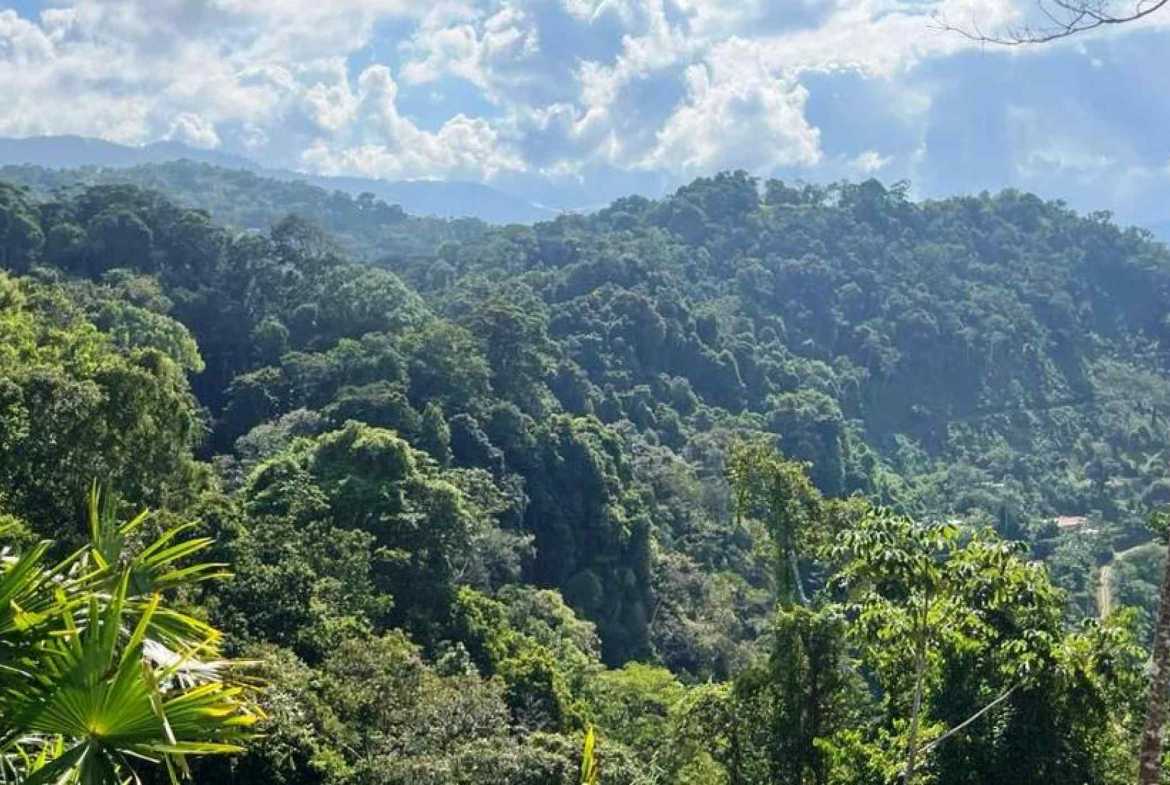 Ocean View 2.7-Acre Building Lot in Dominical Costa Rica photo 1