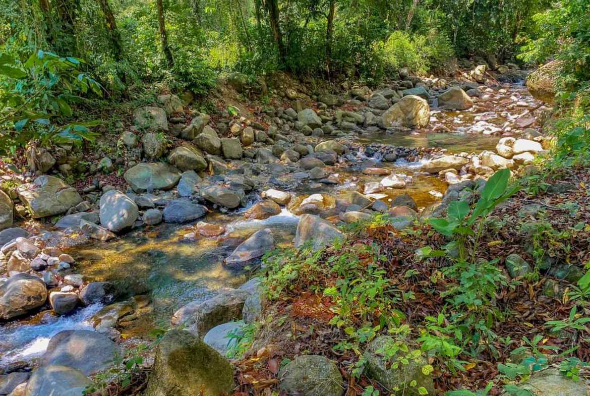 Jungle River 2.46-Acre Building Lot with Legal Water in Ojochal Costa Rica photo 35
