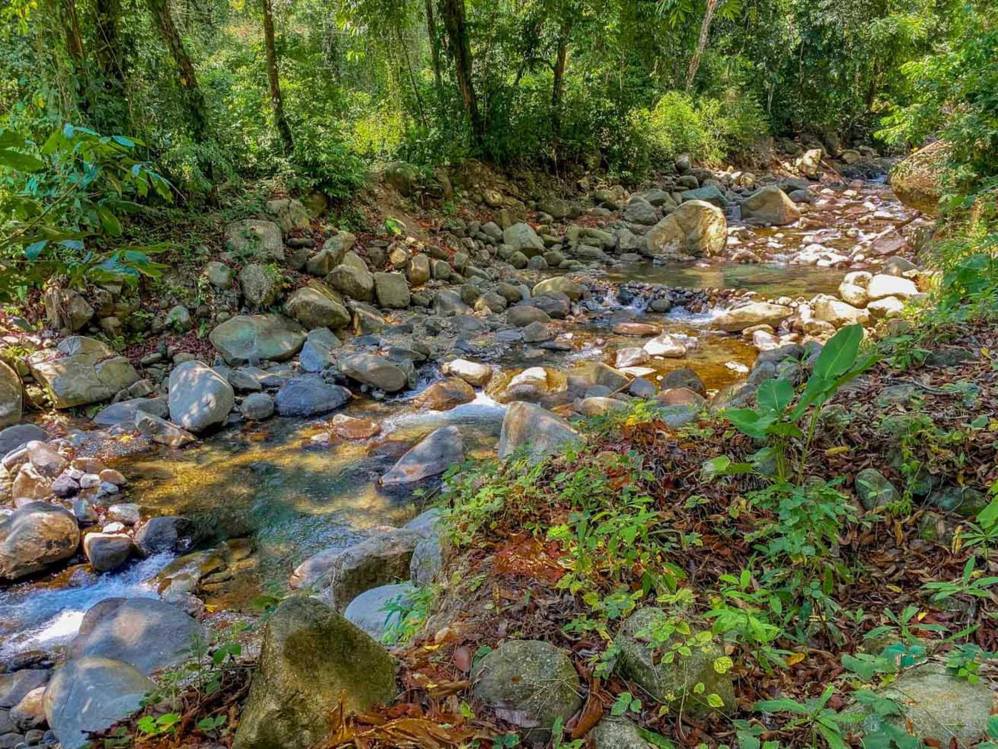 Jungle River 2.46-Acre Building Lot with Legal Water in Ojochal Costa Rica