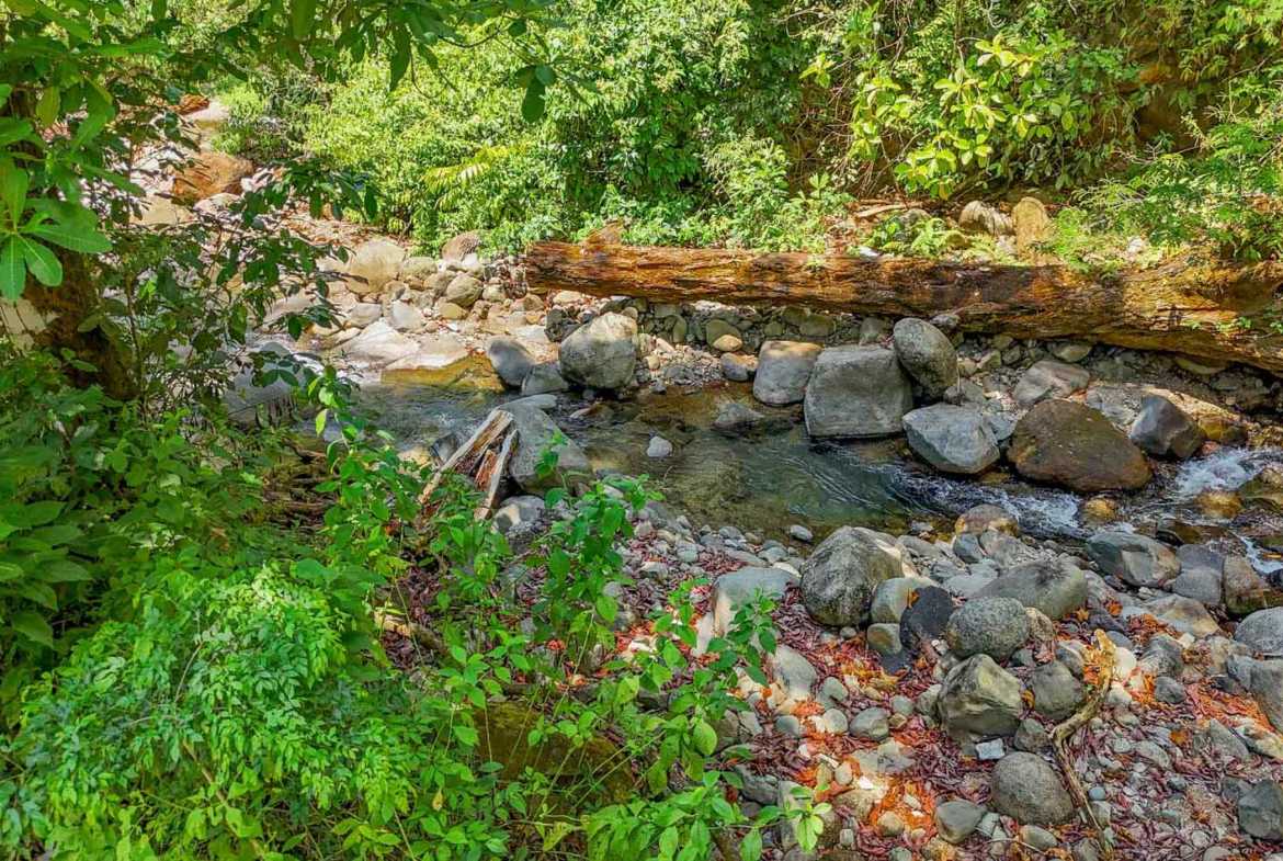 Jungle River 2.46-Acre Building Lot with Legal Water in Ojochal Costa Rica photo 36
