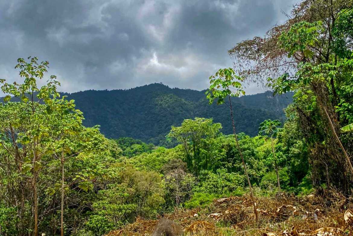 Jungle River 2.46-Acre Building Lot with Legal Water in Ojochal Costa Rica photo 31