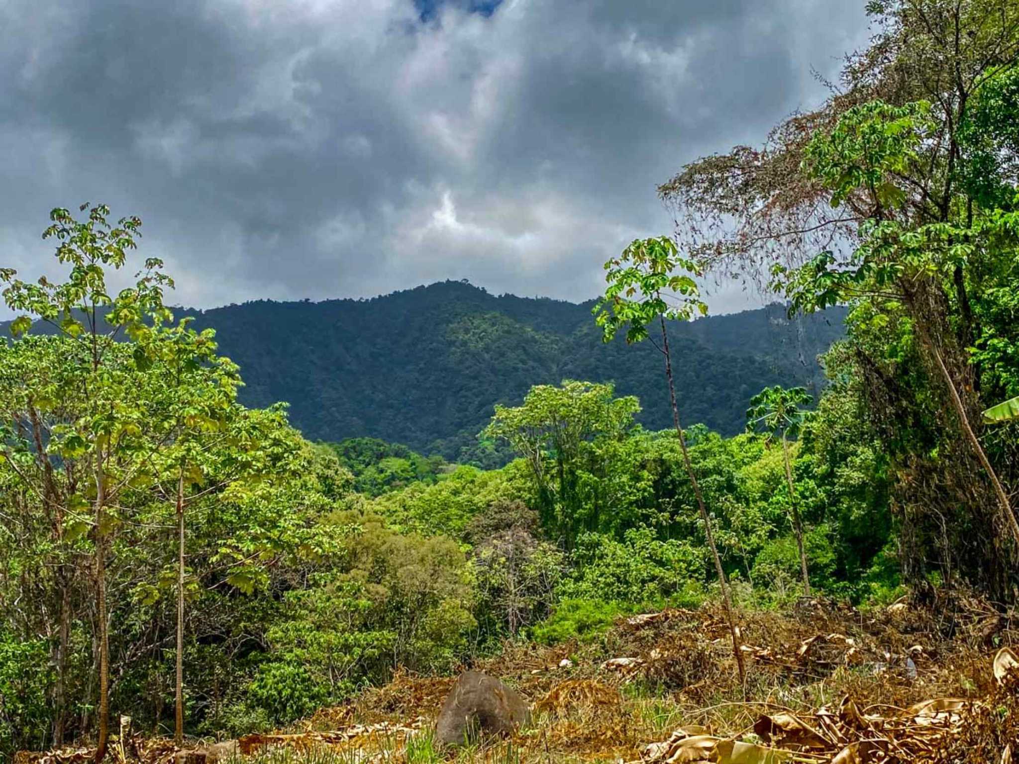 Jungle River 2.46-Acre Building Lot with Legal Water in Ojochal Costa Rica