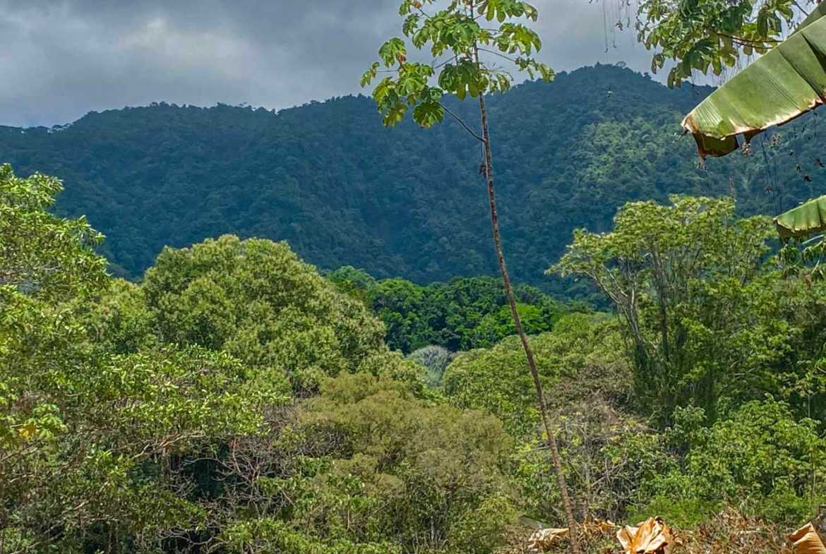 Jungle River 2.46-Acre Building Lot with Legal Water in Ojochal Costa Rica photo 2