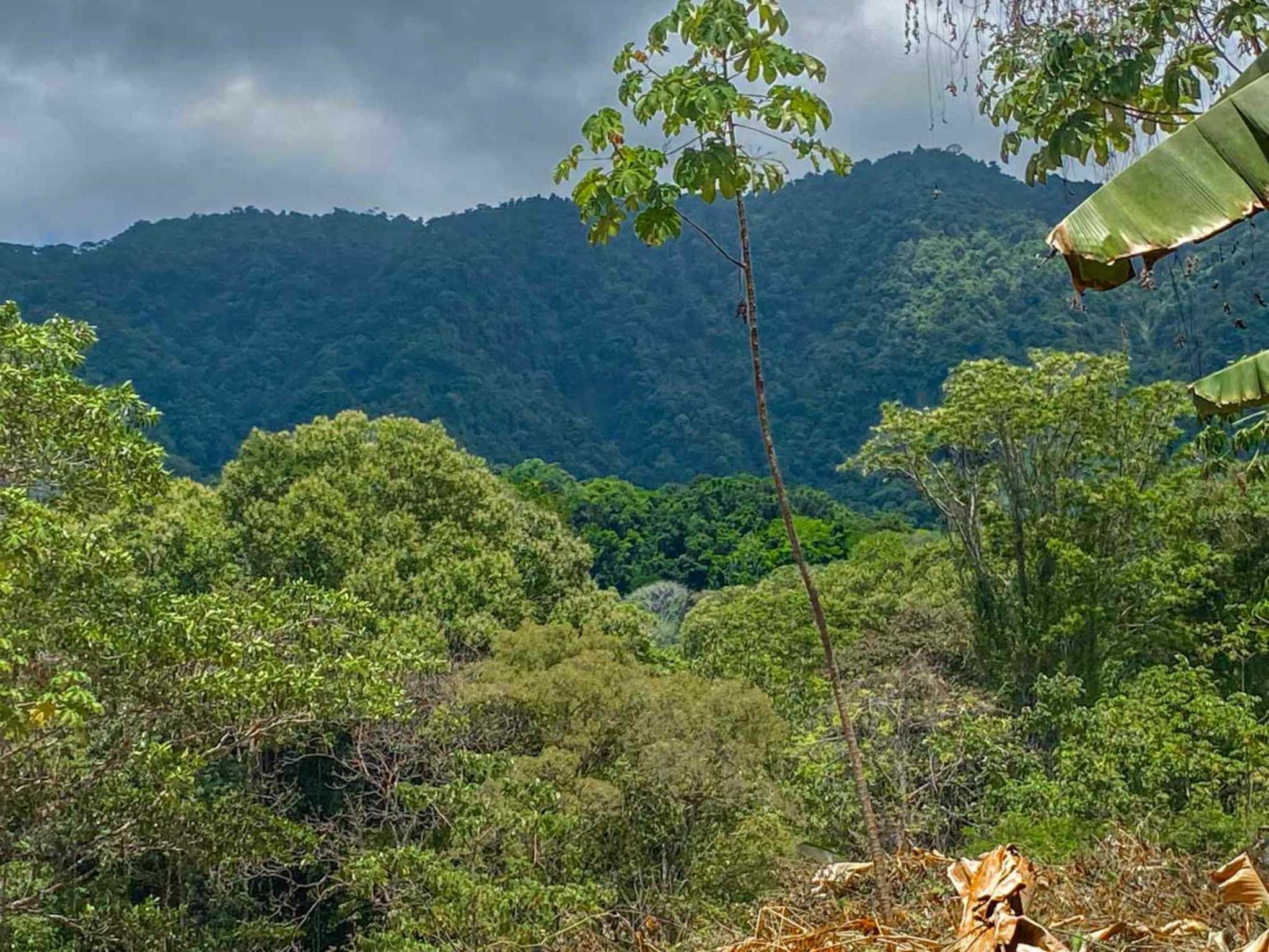 Jungle River 2.46-Acre Building Lot with Legal Water in Ojochal Costa Rica