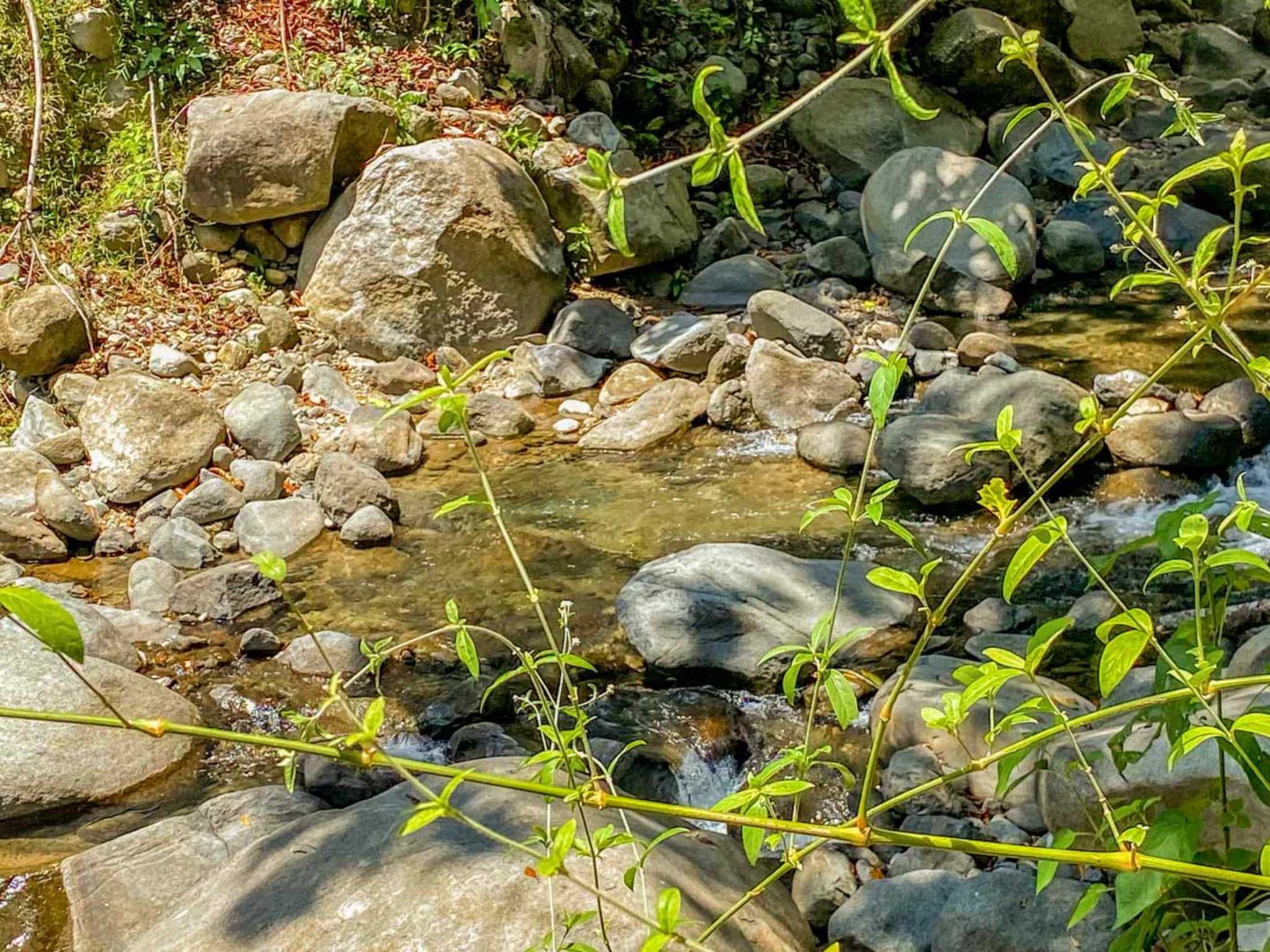 Jungle River 2.46-Acre Building Lot with Legal Water in Ojochal Costa Rica