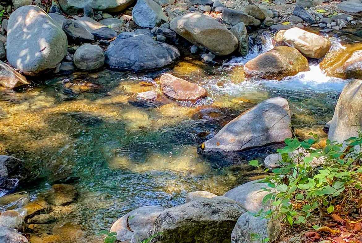 Jungle River 2.46-Acre Building Lot with Legal Water in Ojochal Costa Rica photo 3