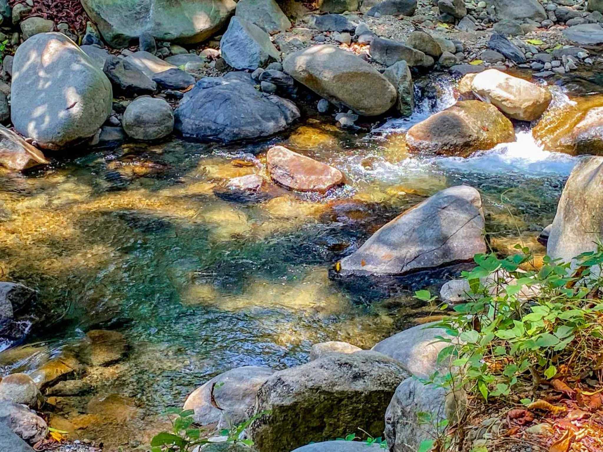 Jungle River 2.46-Acre Building Lot with Legal Water in Ojochal Costa Rica