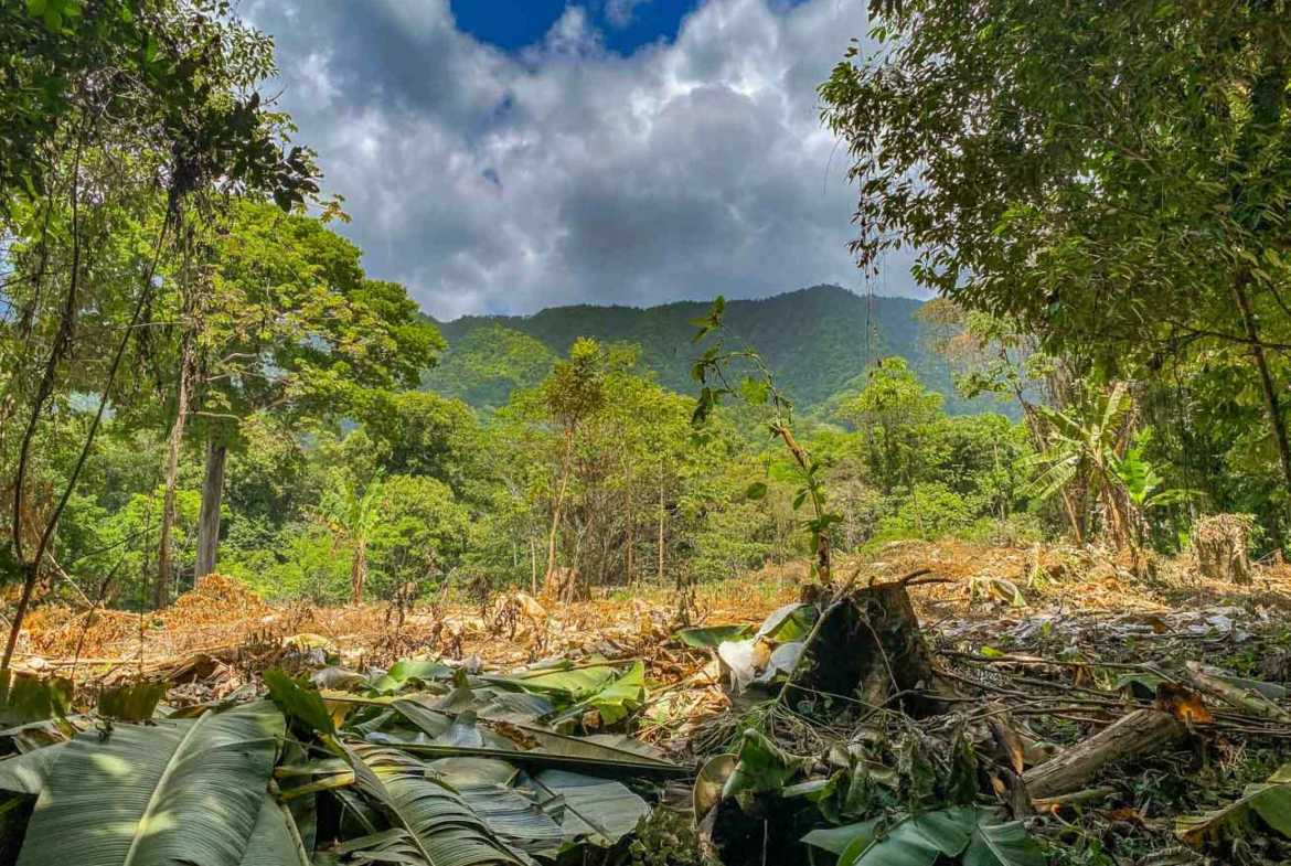 Jungle River 2.46-Acre Building Lot with Legal Water in Ojochal Costa Rica photo 28